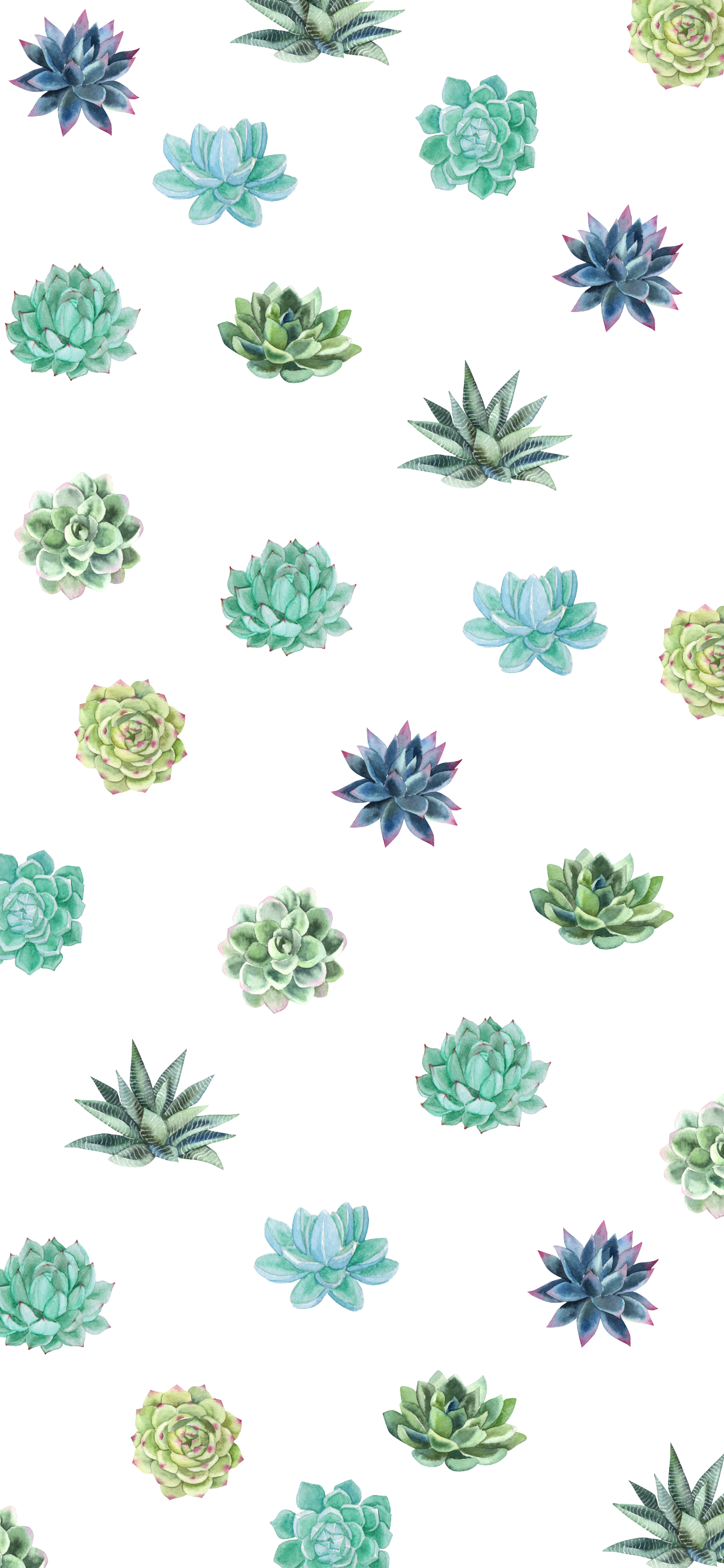 Succulent Phone Wallpapers