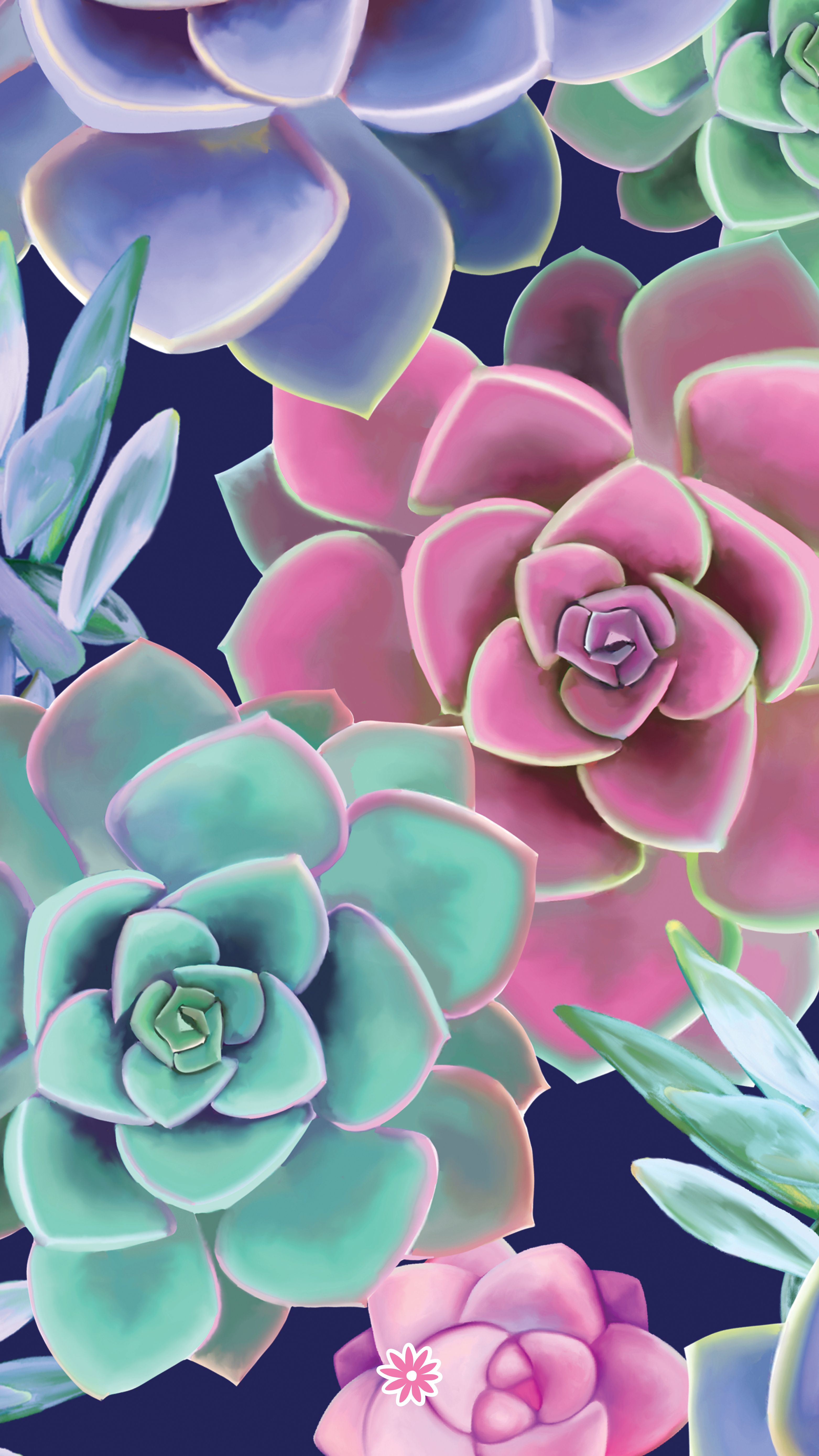 Succulent Phone Wallpapers