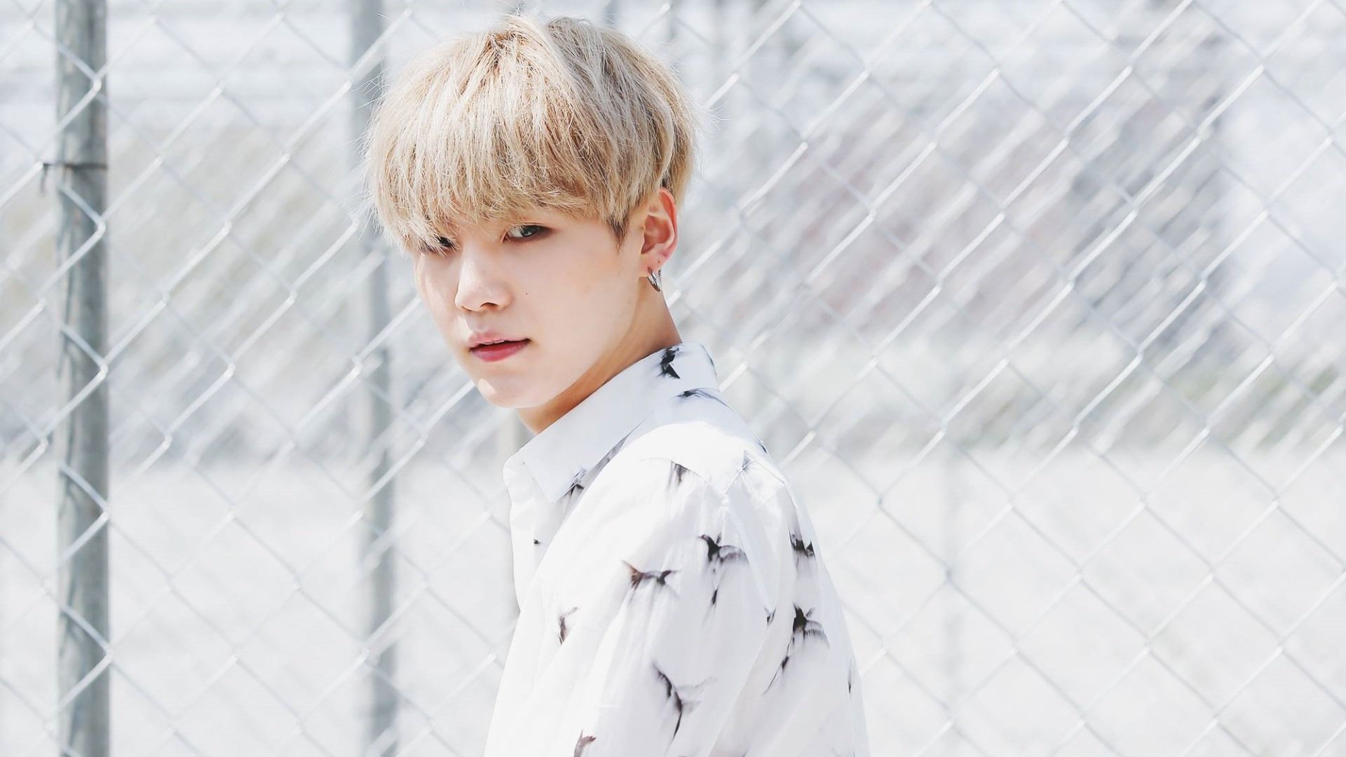 Suga Desktop Wallpapers