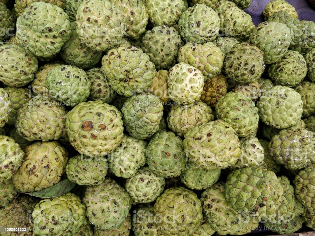 Sugar Apple Wallpapers