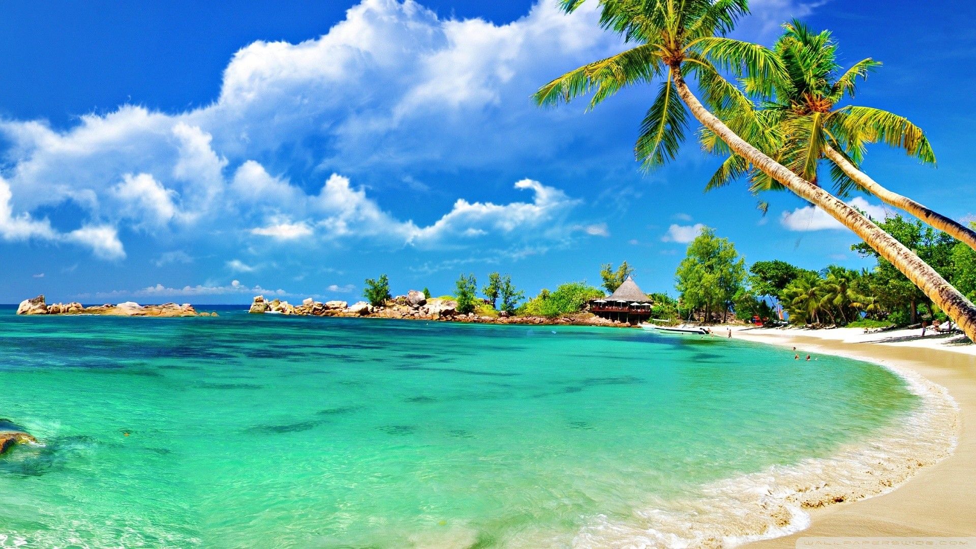 Summer Beach Desktop Wallpapers