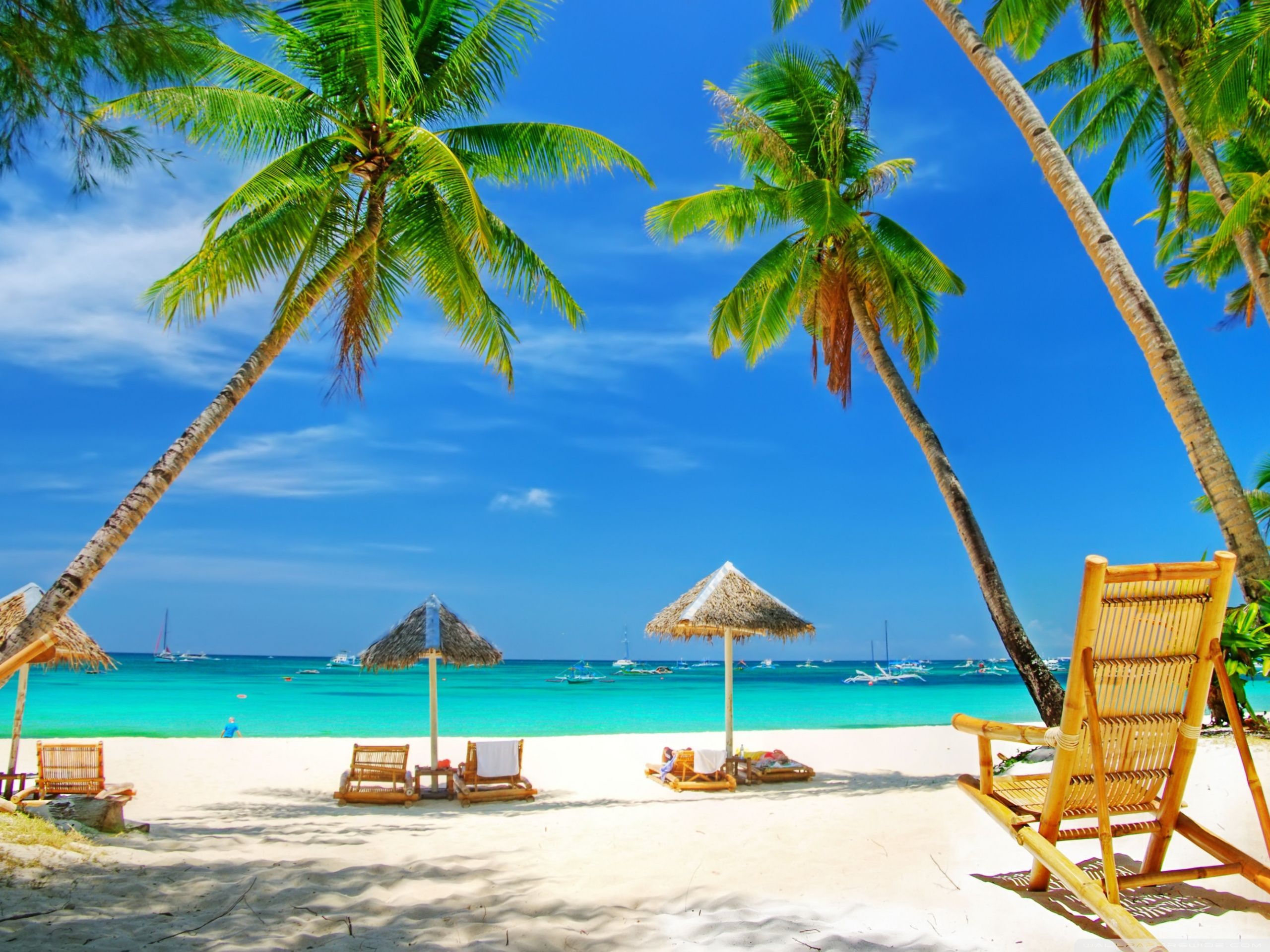 Summer Beach Paradise Wallpapers