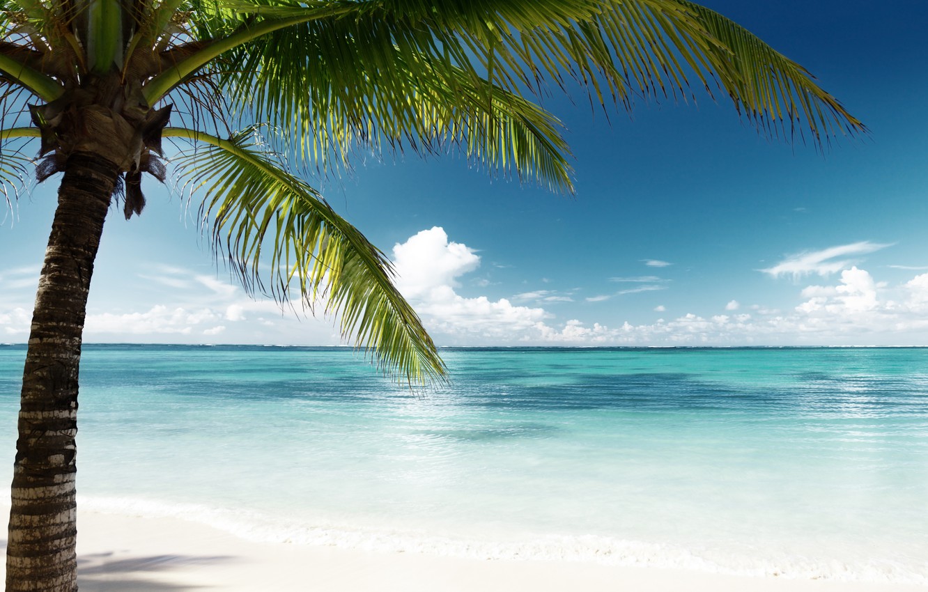 Summer Beach Paradise Wallpapers