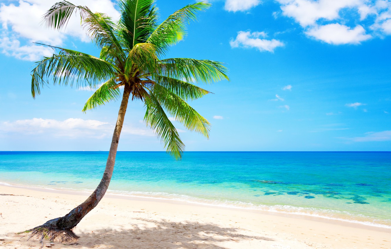 Summer Beach Paradise Wallpapers