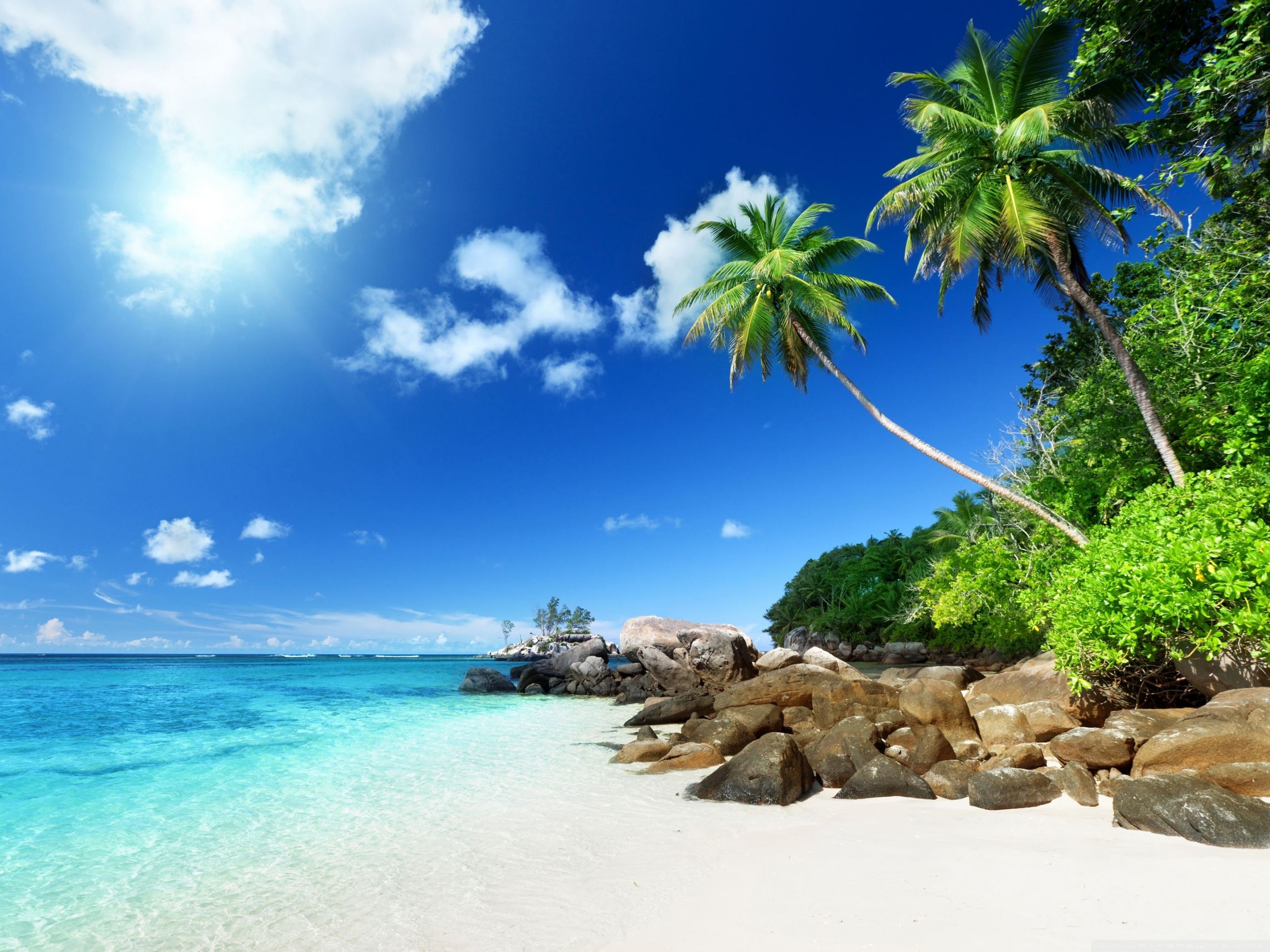 Summer Beach Paradise Wallpapers