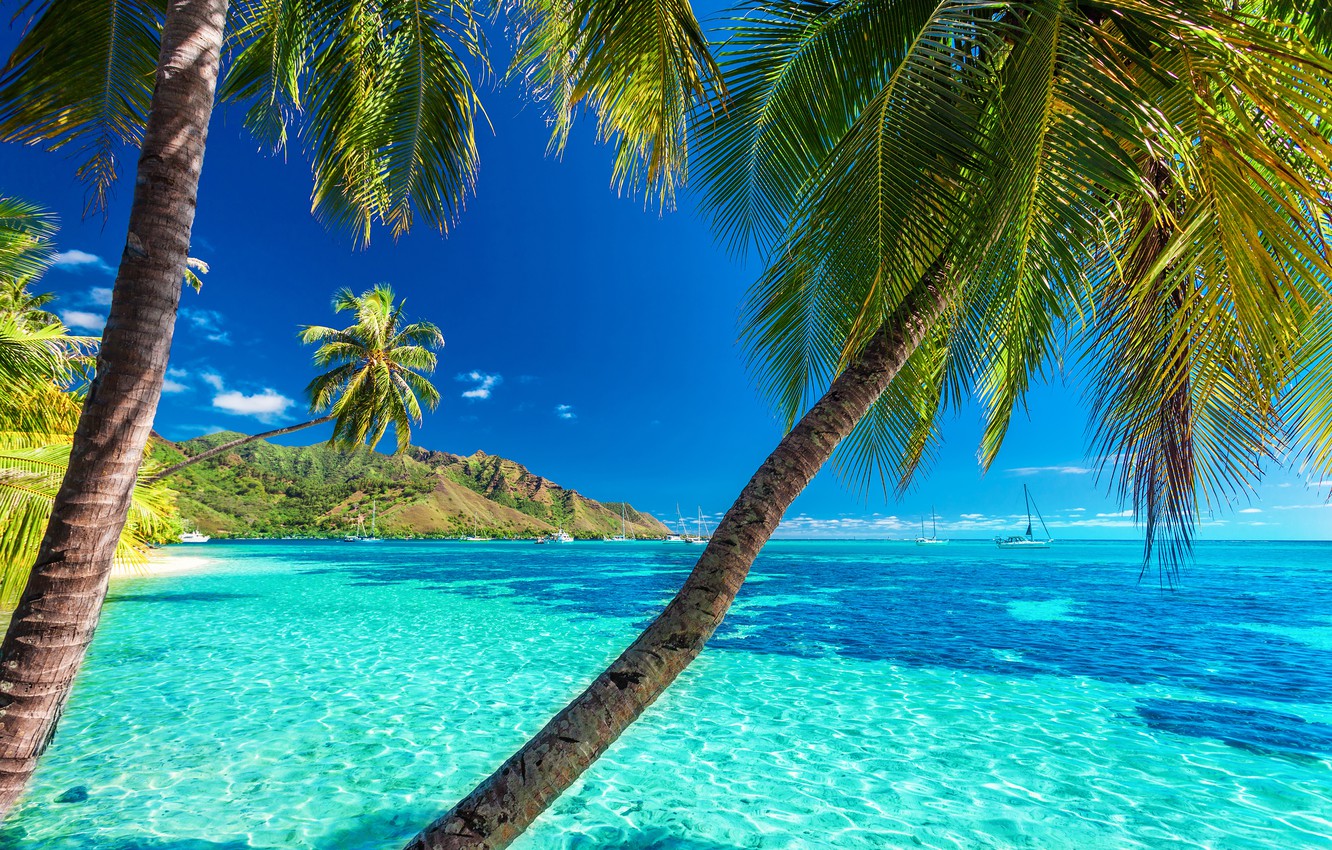 Summer Beach Paradise Wallpapers