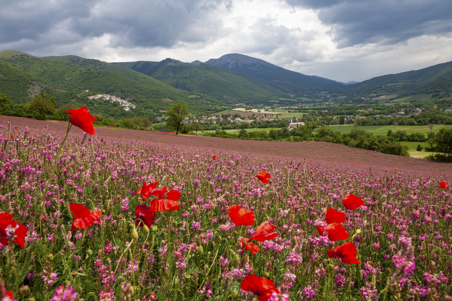 Summer Countryside Wallpapers