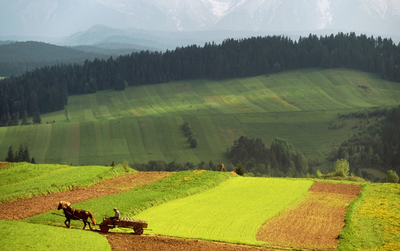 Summer Countryside Wallpapers