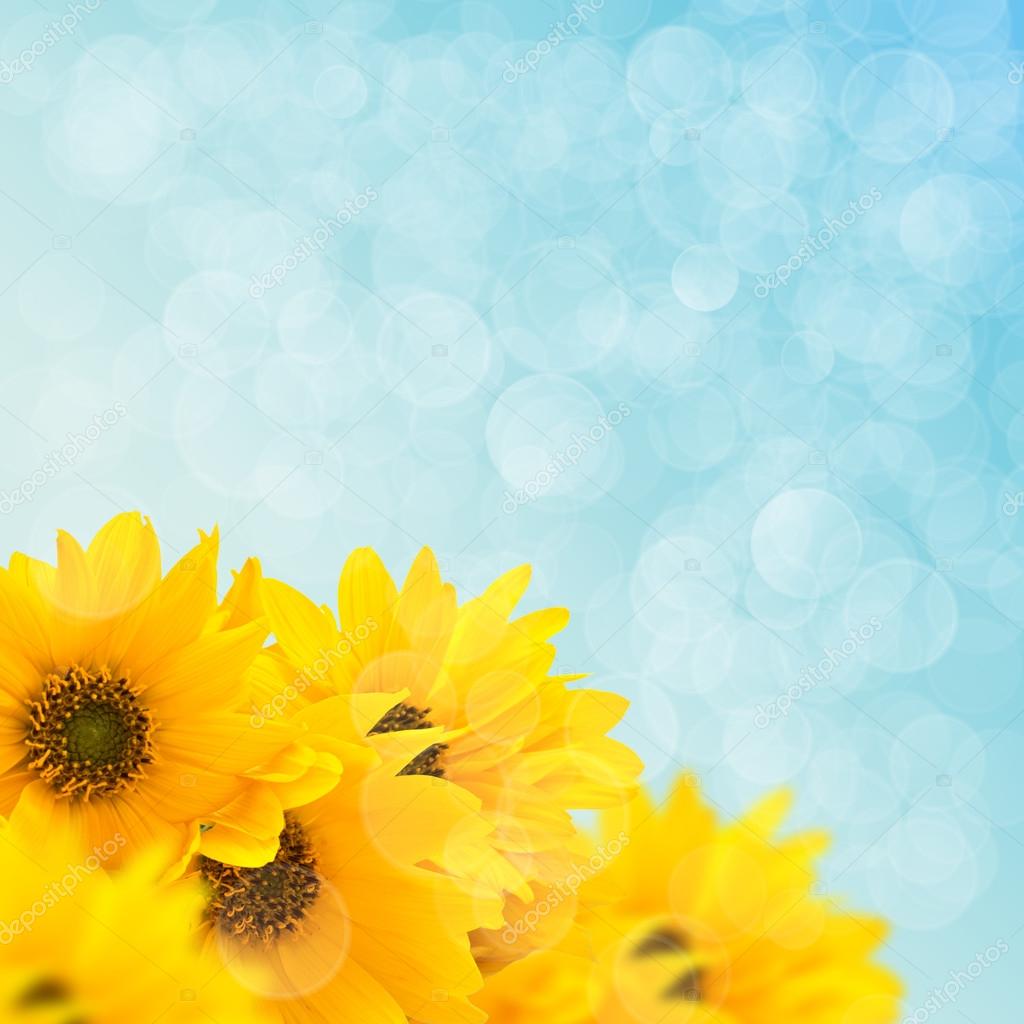 Summer Flower Backgrounds