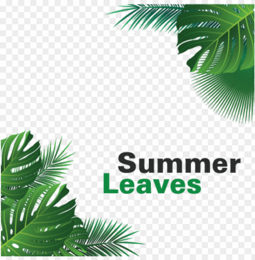 Summer Leaves Background