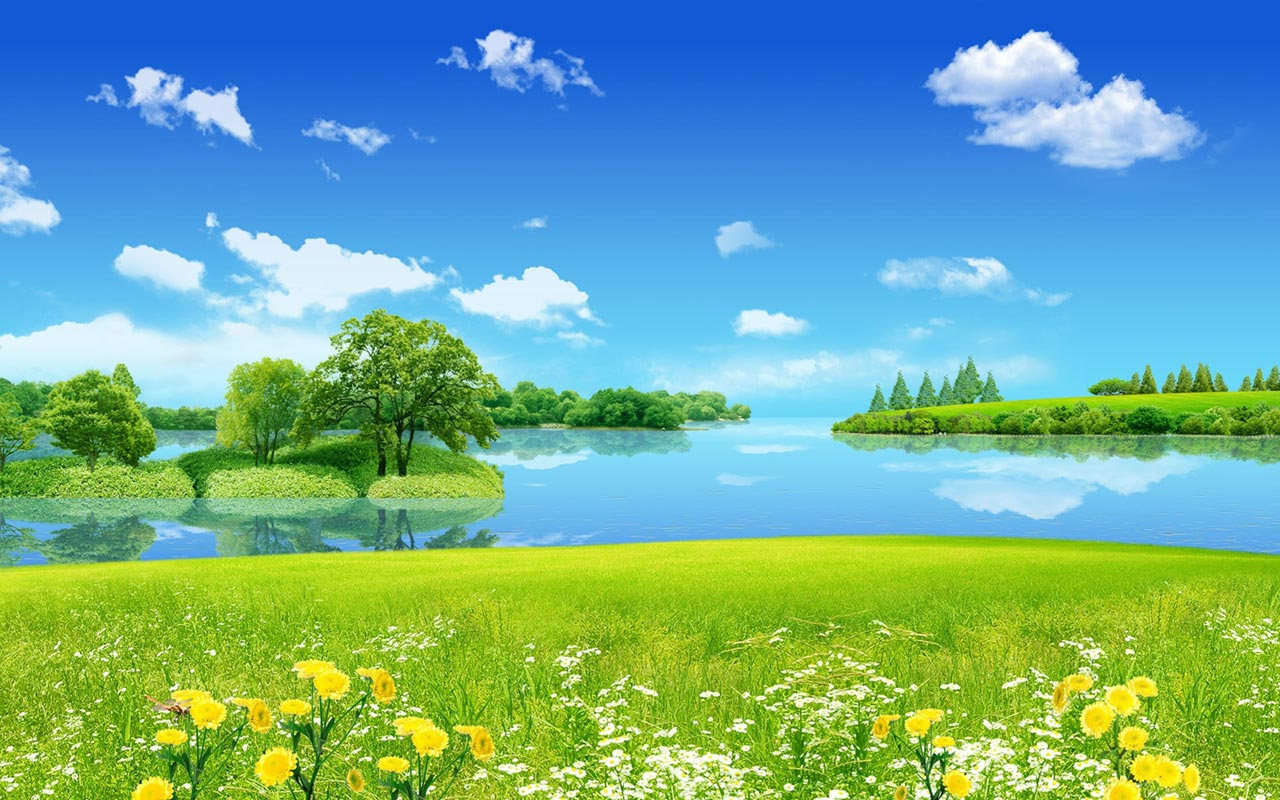 Summer Nature Backgrounds