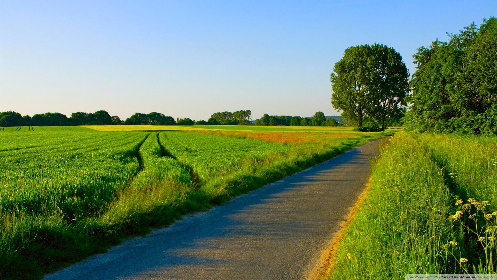 Summer Nature Backgrounds