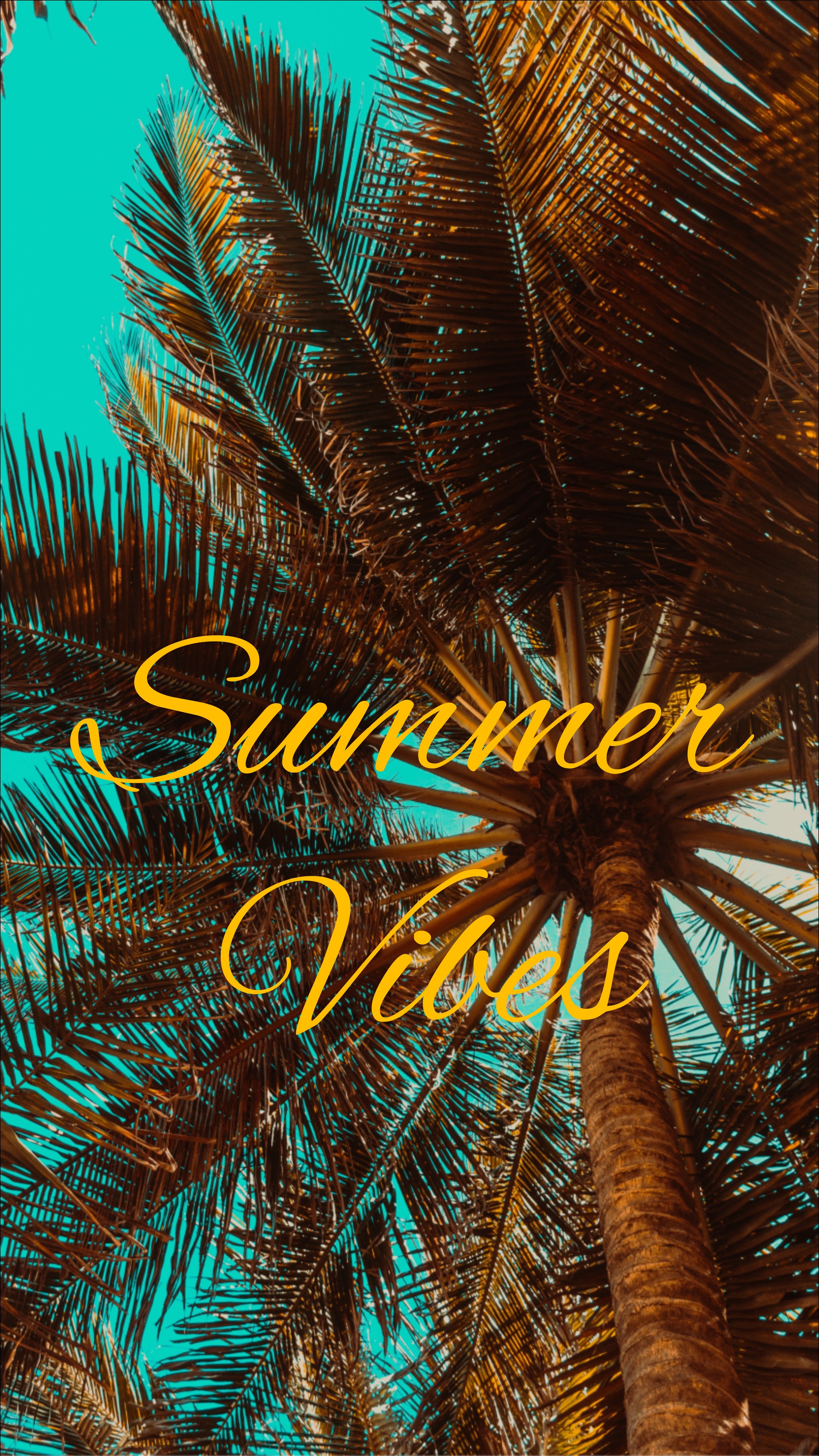 Summer Vibes Wallpapers