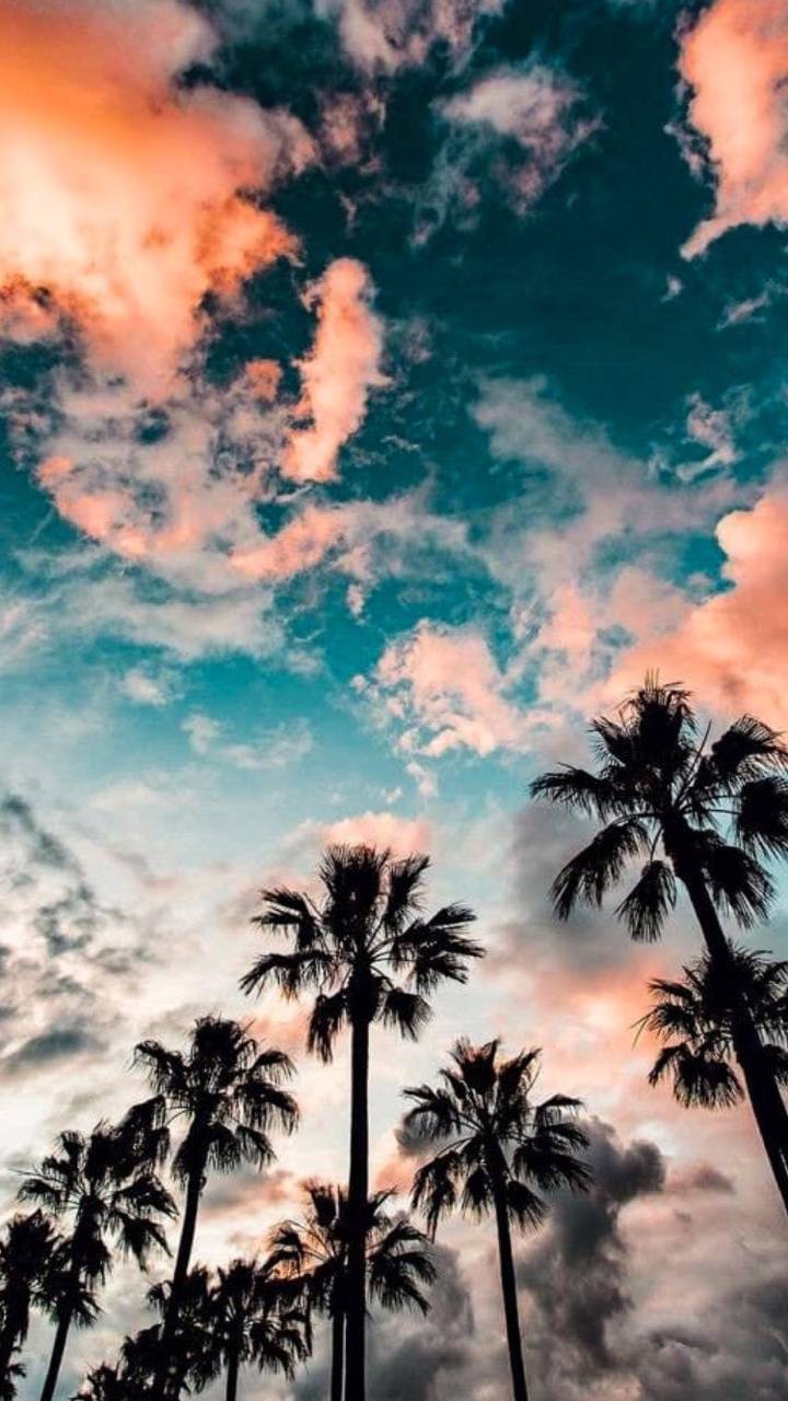 Summer Vibes Wallpapers