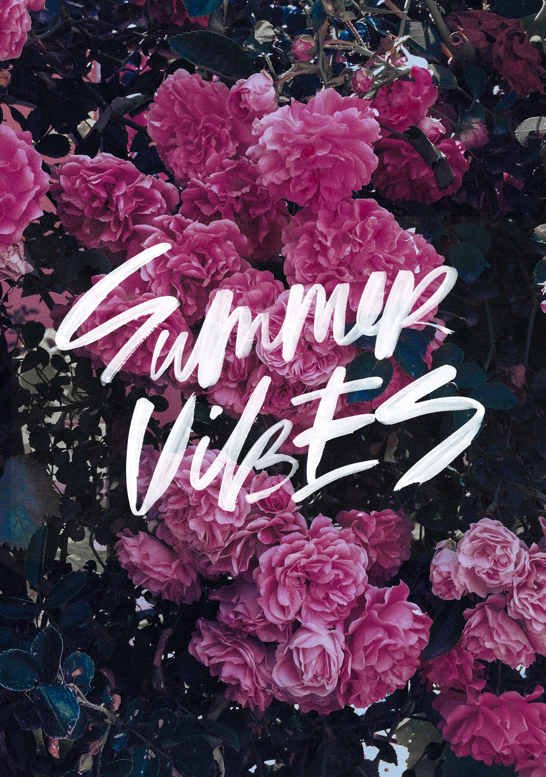 Summer Vibes Wallpapers