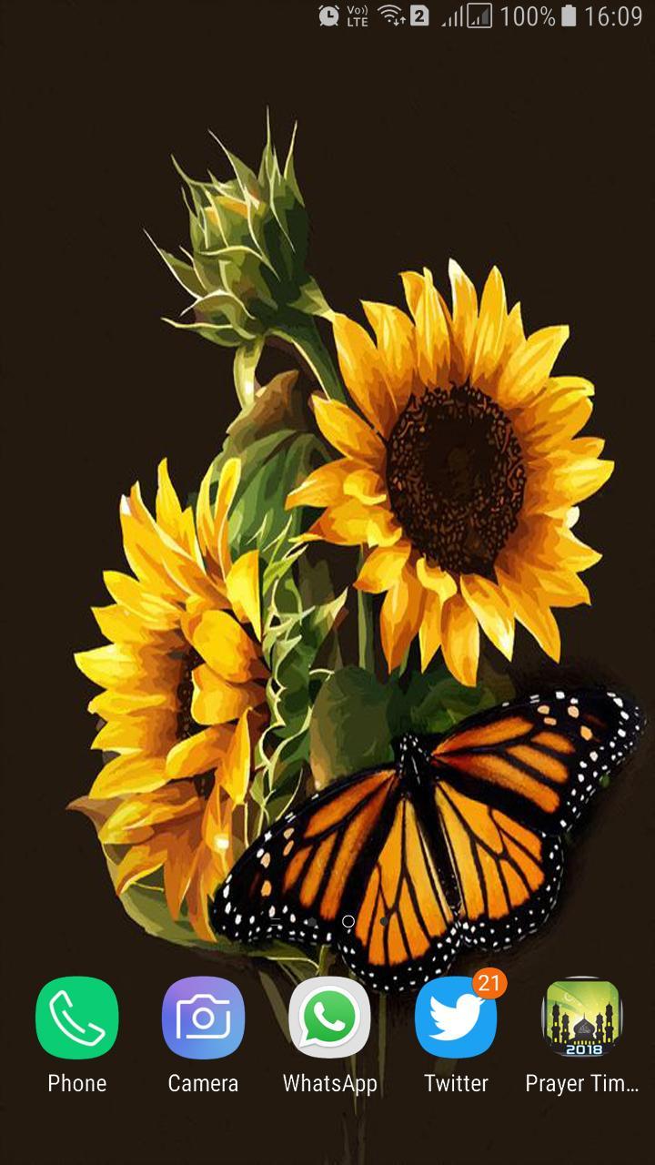 Sunflower And Butterfly Wallpapers