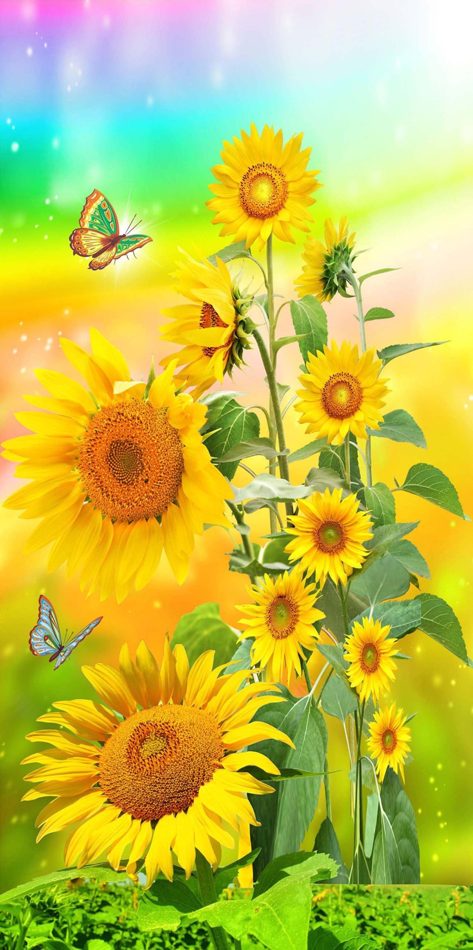 Sunflower And Butterfly Wallpapers