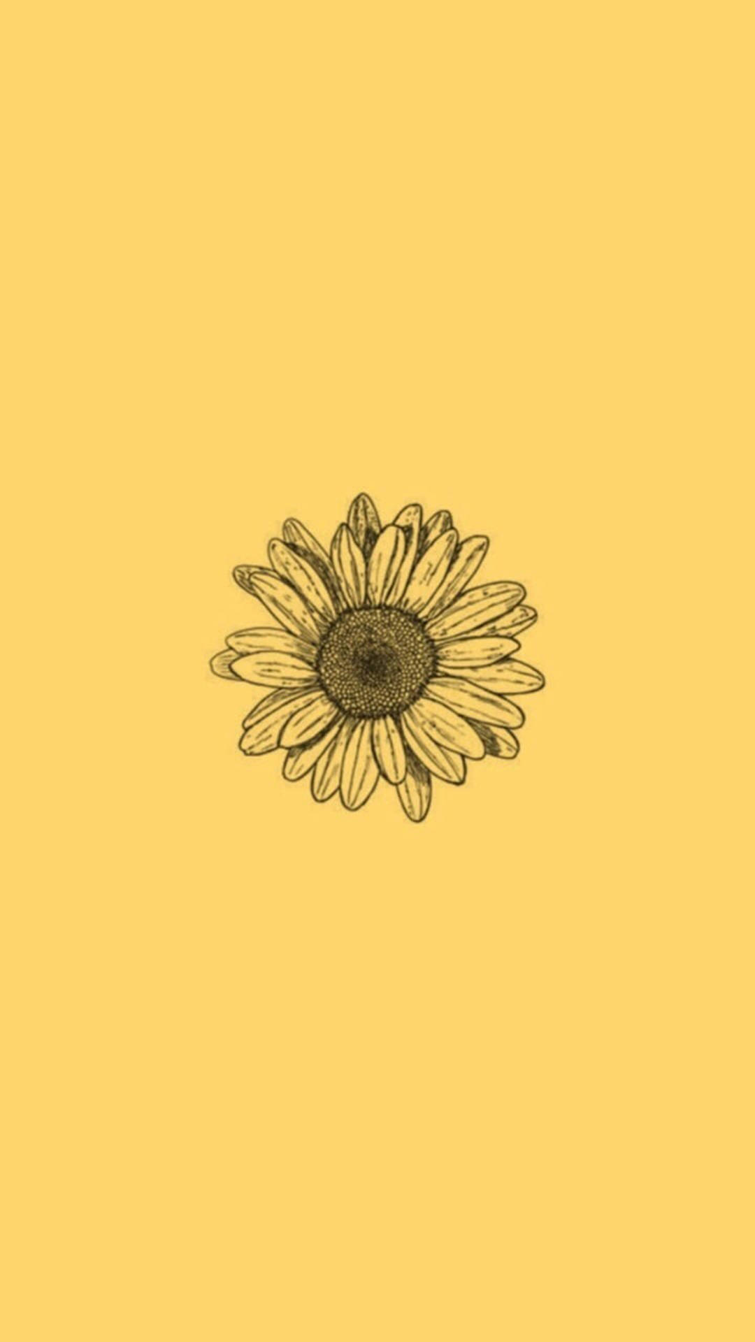 Sunflower Art Wallpapers