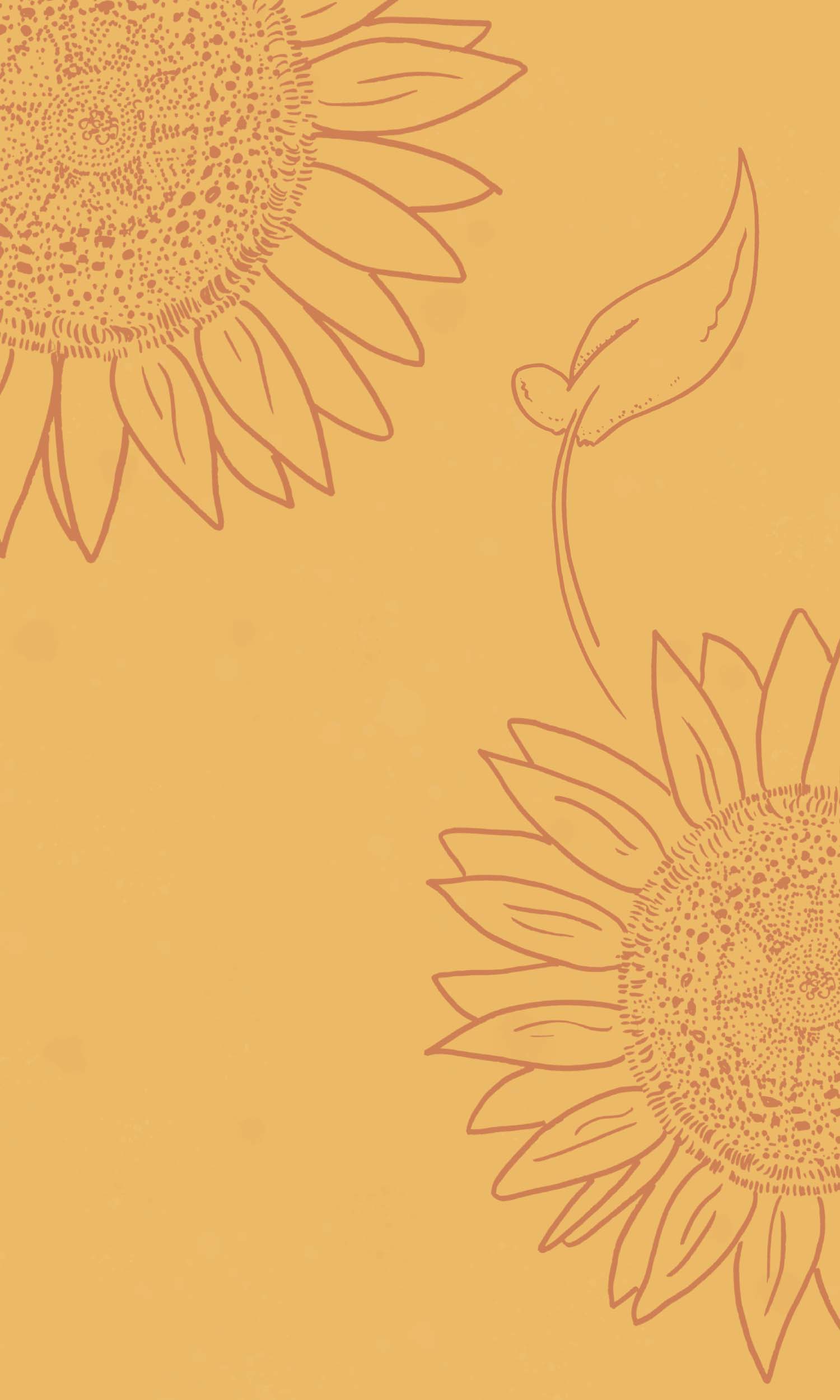 Sunflower Fall Cover Photos Wallpapers