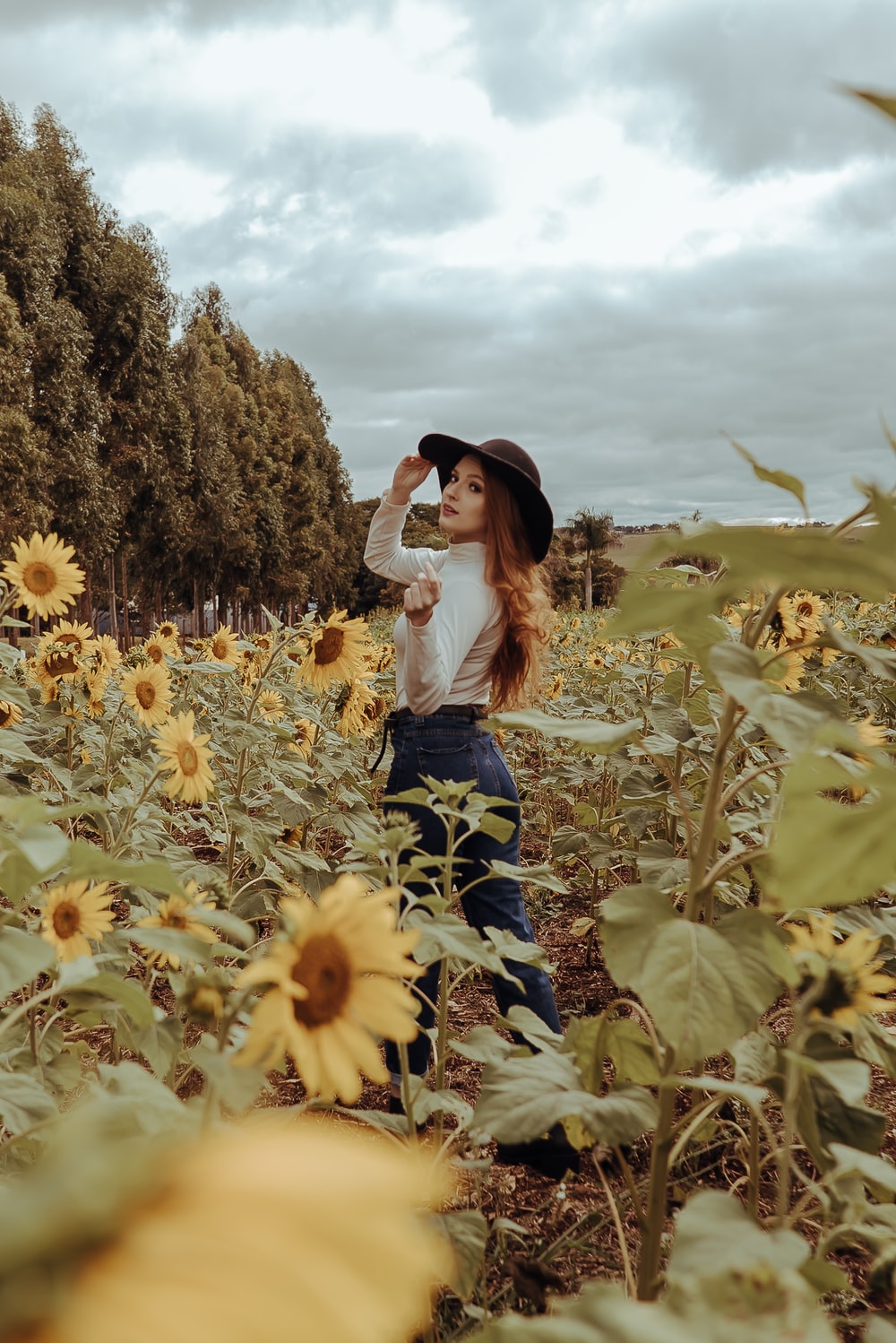 Sunflower Girl Wallpapers