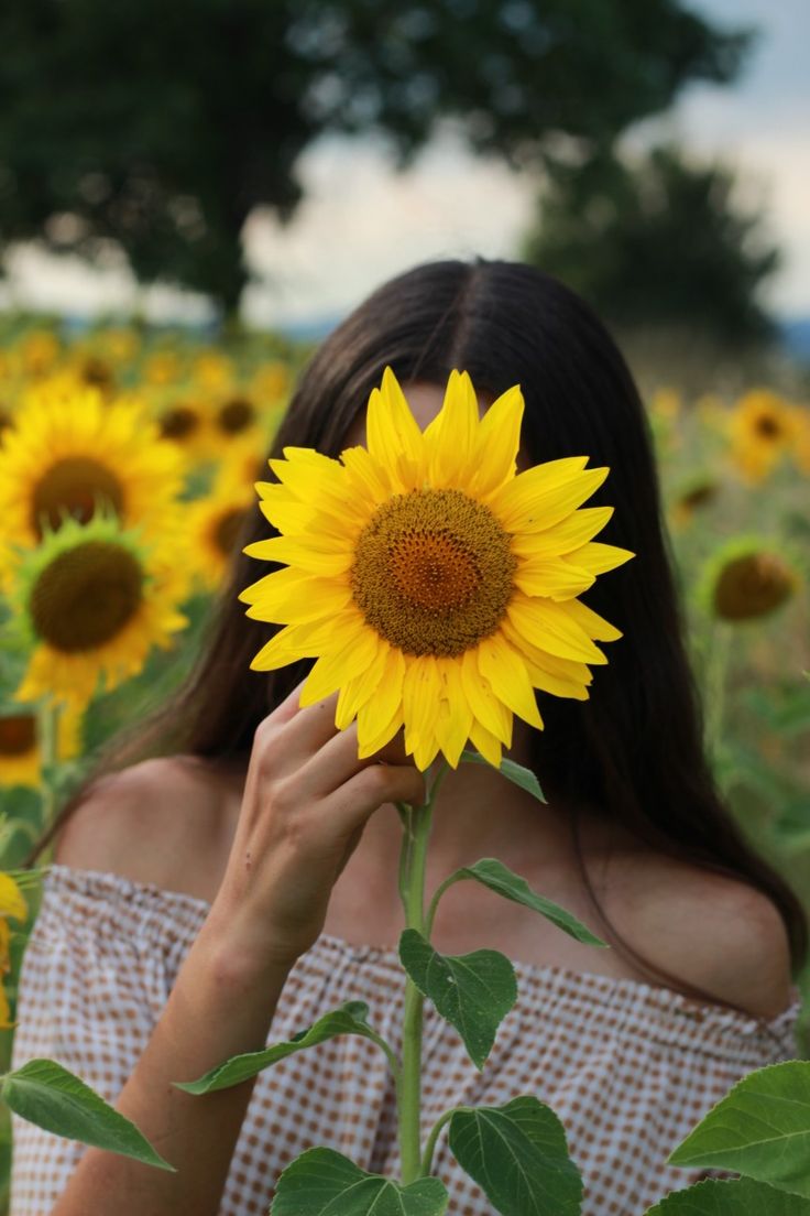 Sunflower Girl Wallpapers