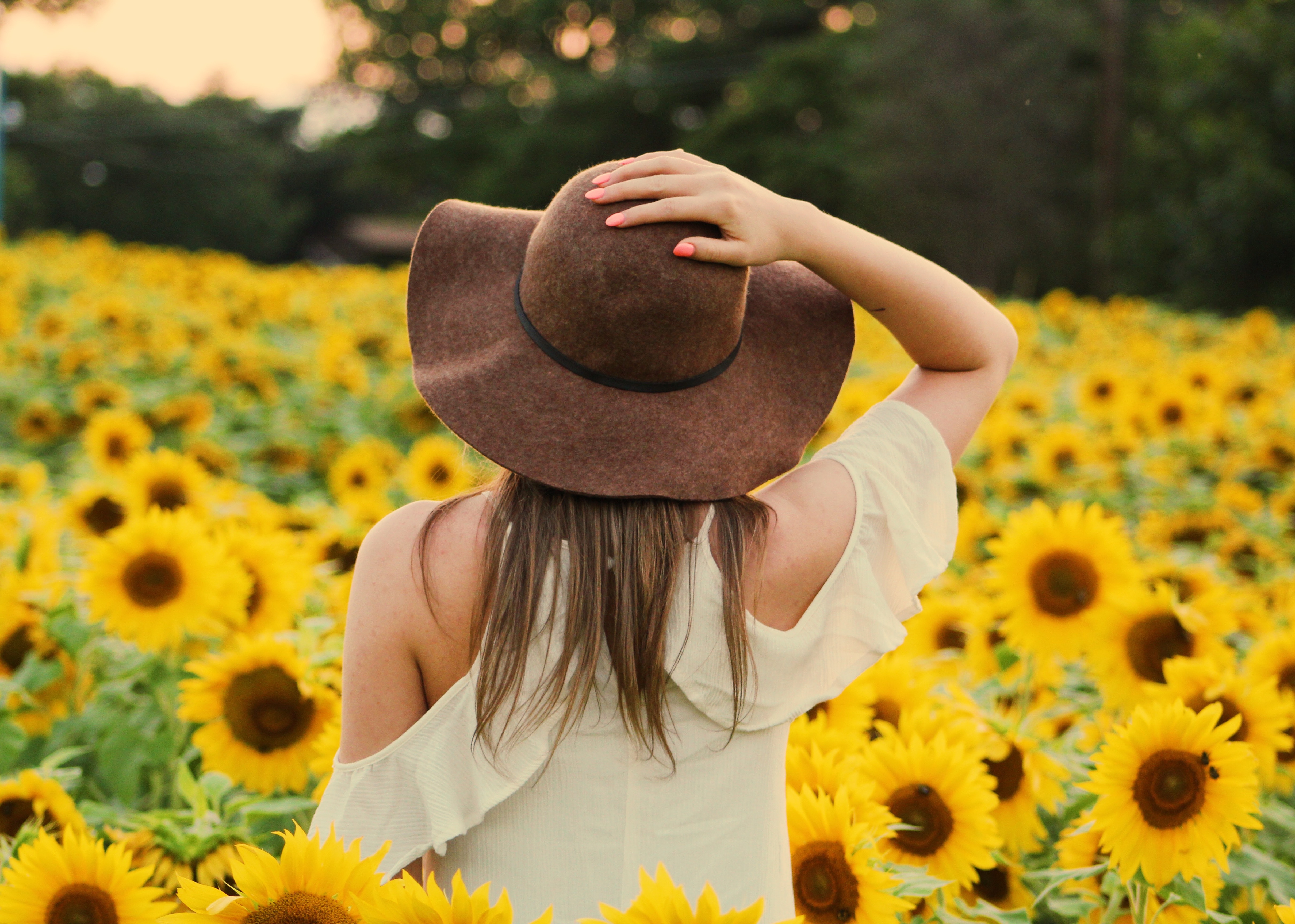 Sunflower Girl Wallpapers