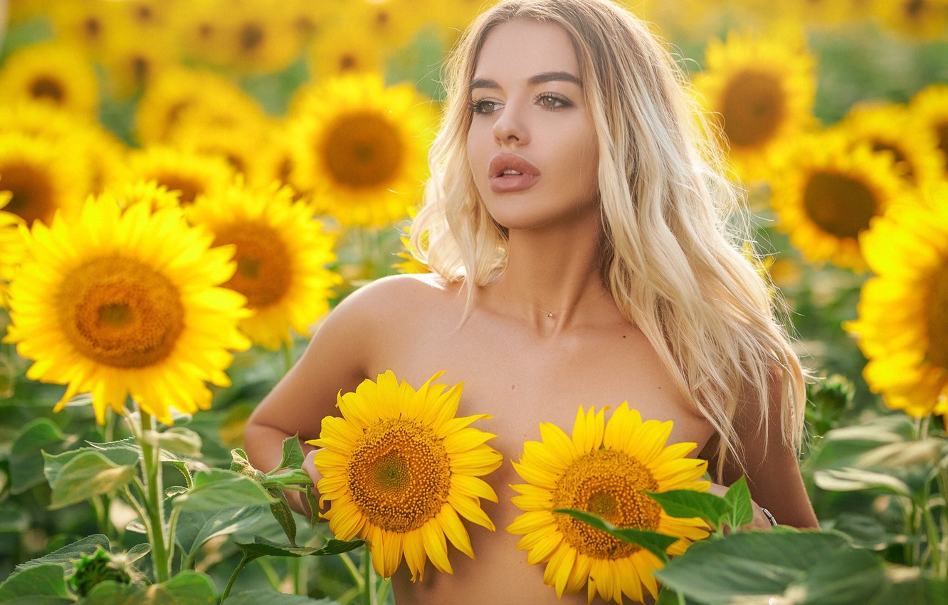 Sunflower Girl Wallpapers