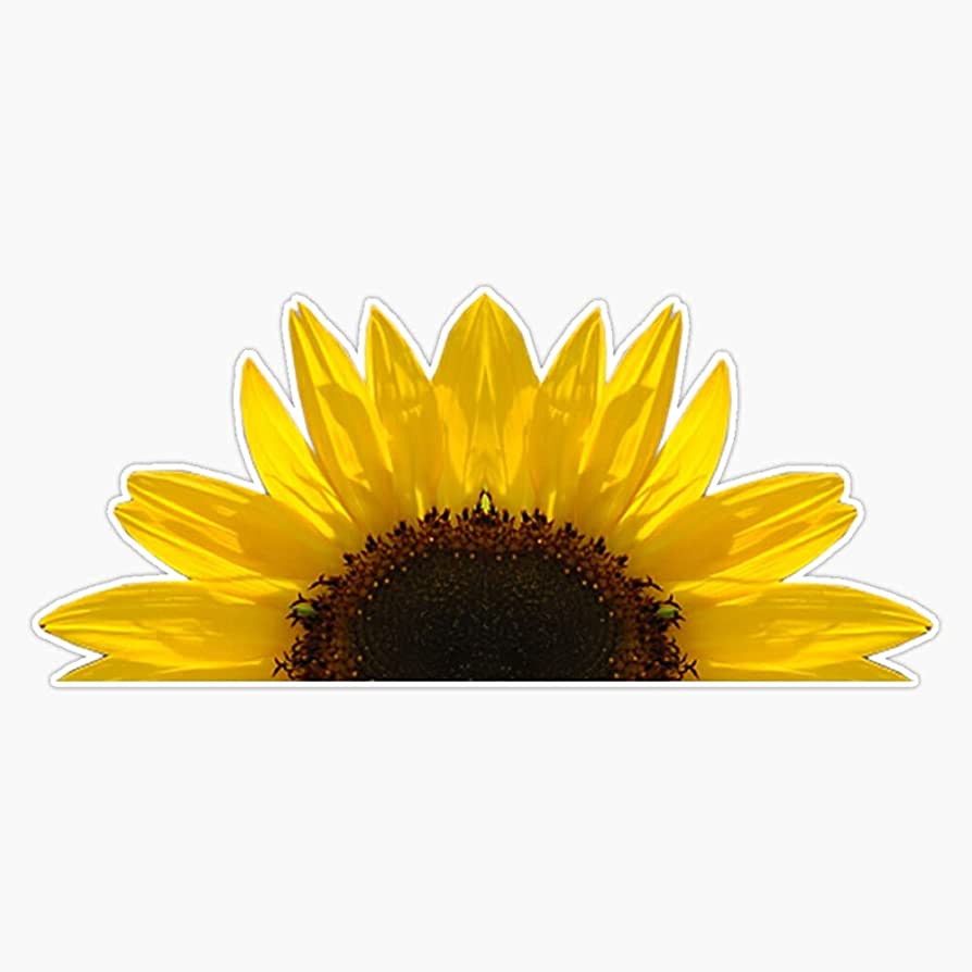 Sunflower Laptop Background