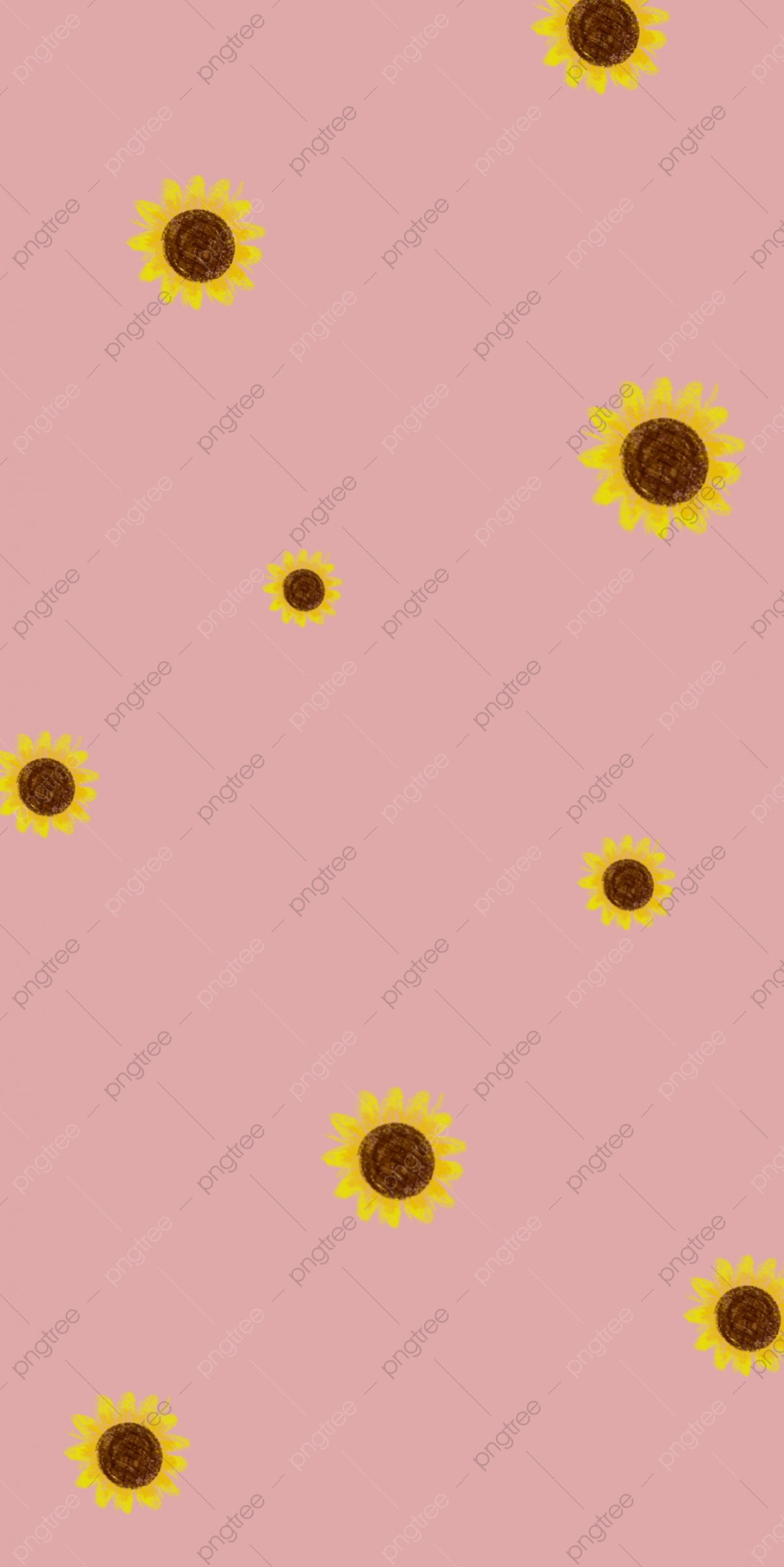 Sunflower Phone Wallpapers