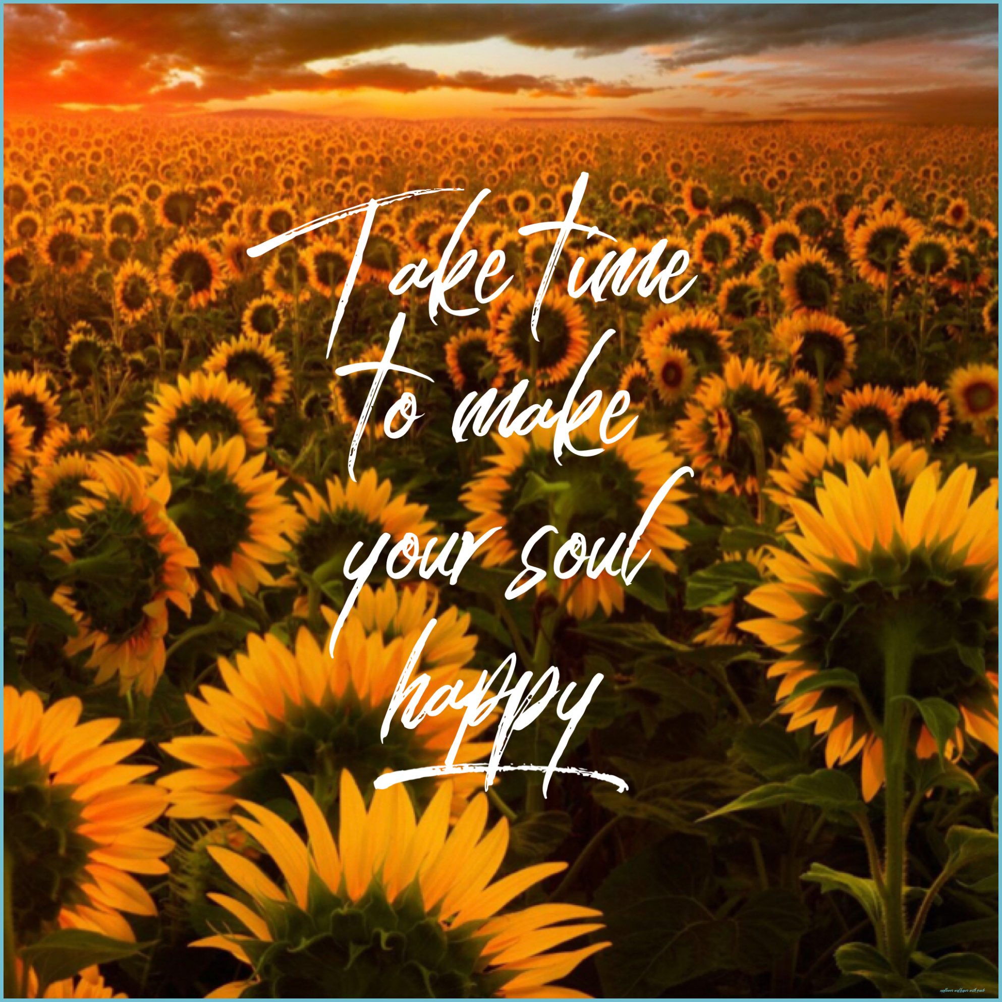 Sunflower Quotes Wallpapers