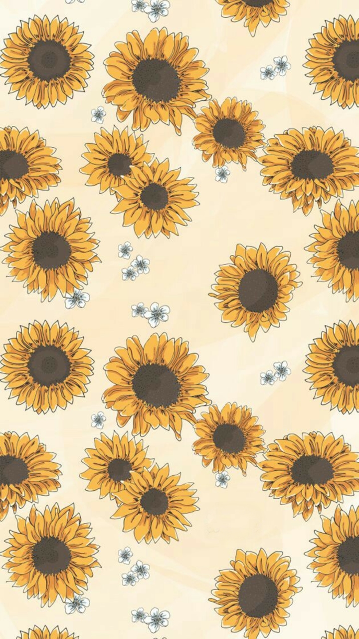 Sunflower Wallpapers