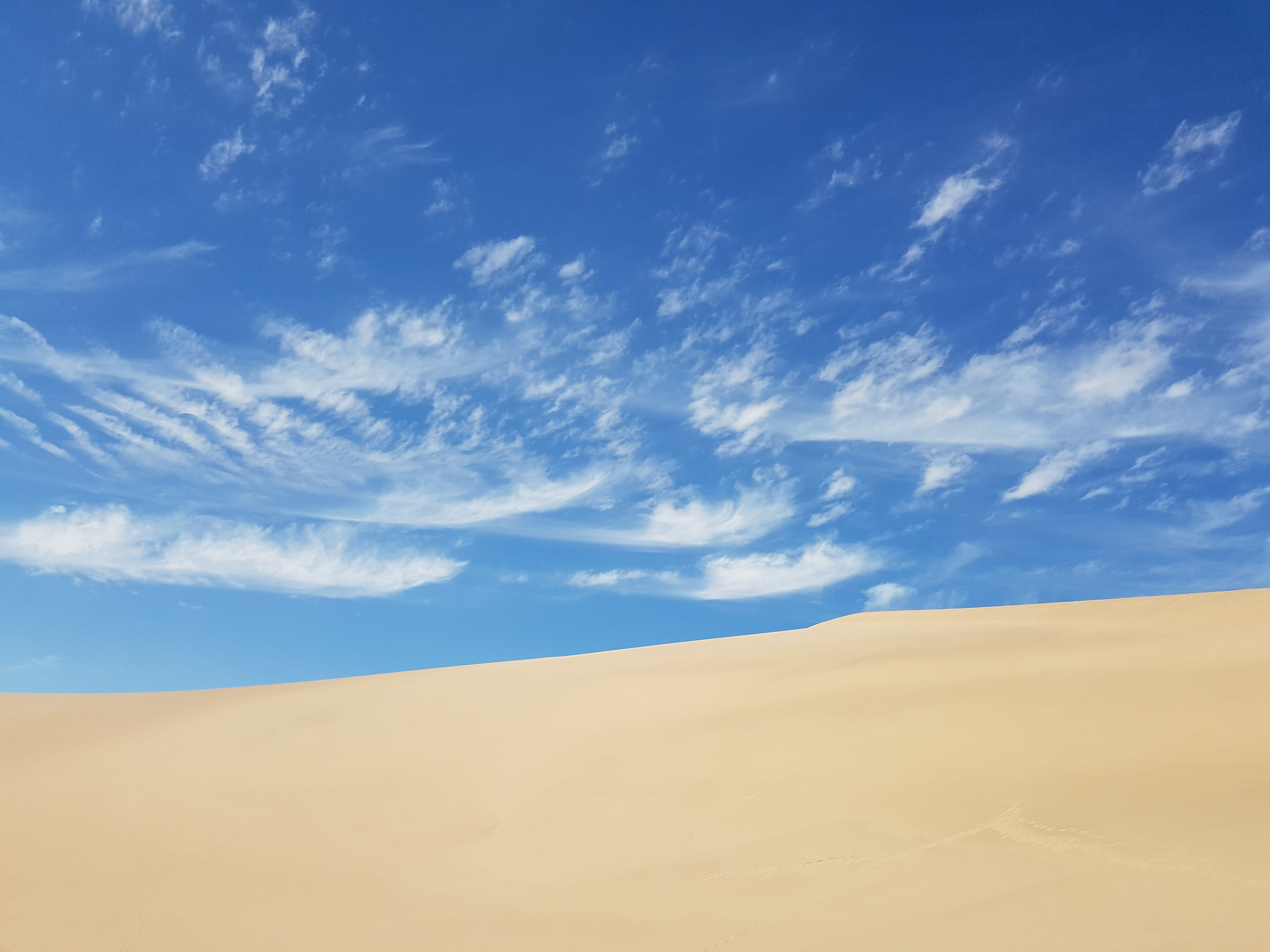 Sunny Day In Desert 4K Wallpapers