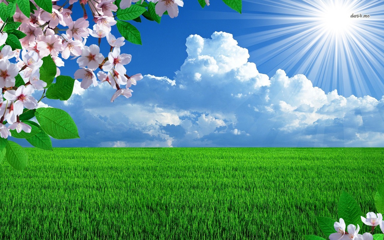 Sunny Day Wallpapers