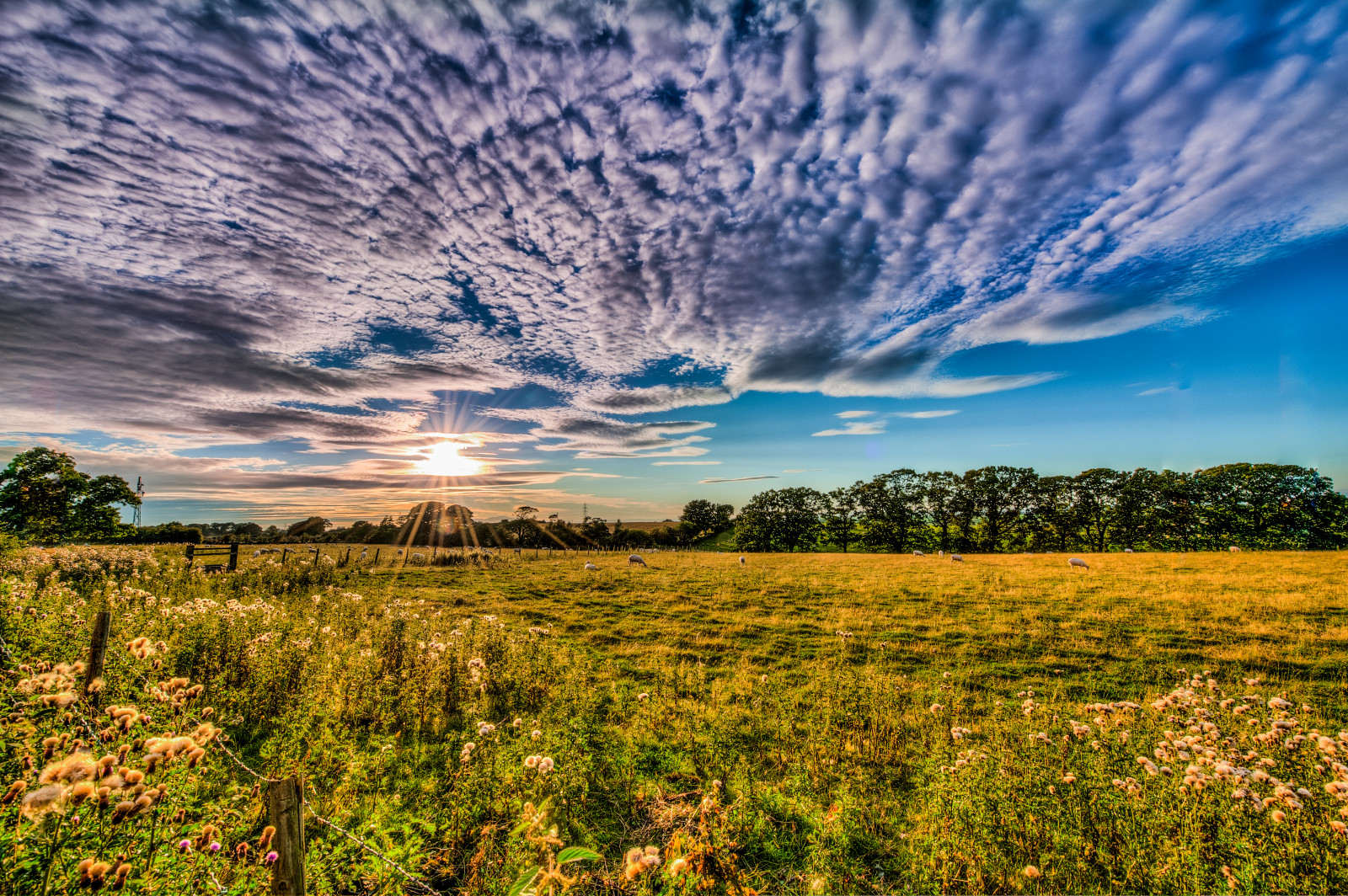 Sunrise At Cumbria Wallpapers