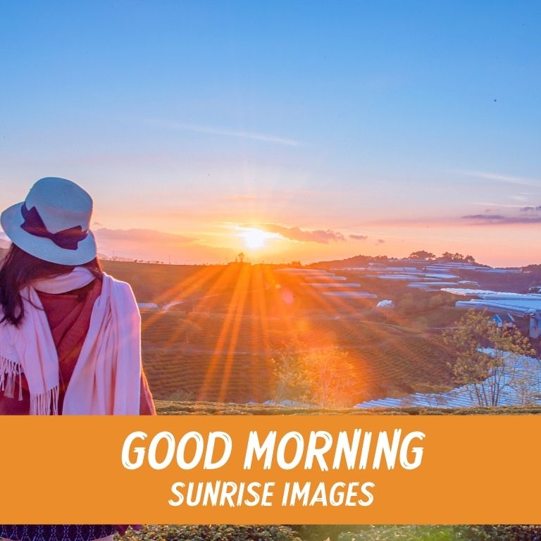 Sunrise In Morning Wallpapers