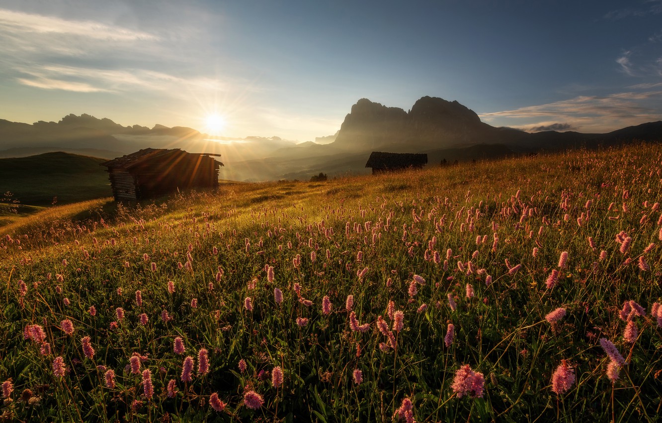 Sunrise Meadow Wallpapers