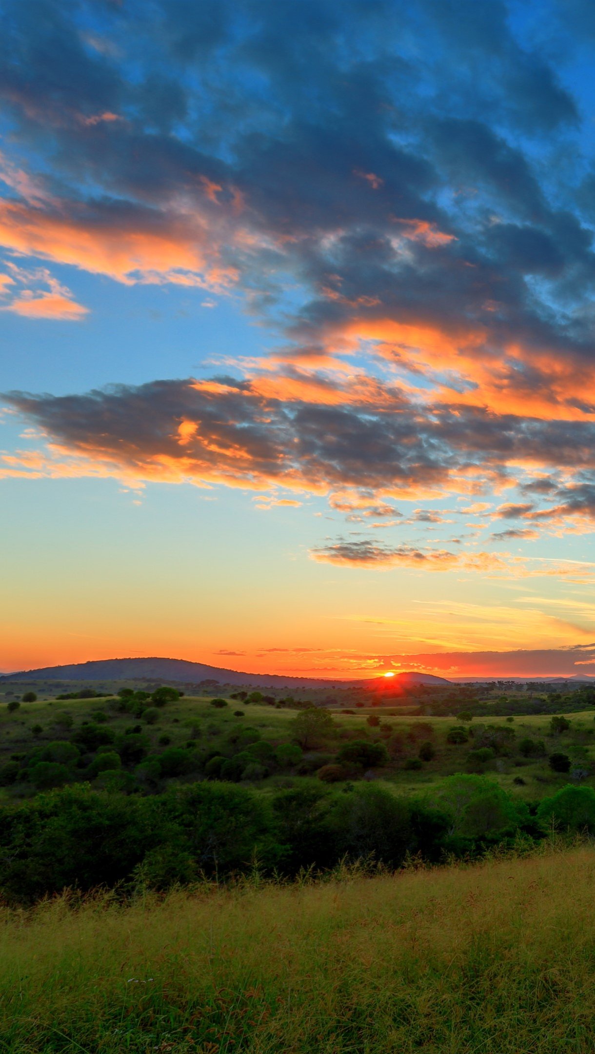 Sunset 4K Horizon Photography 8K Wallpapers