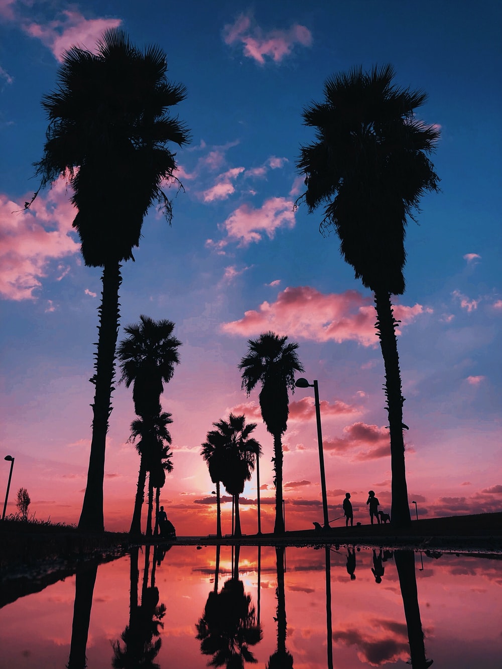 Sunset Aesthetic Wallpapers