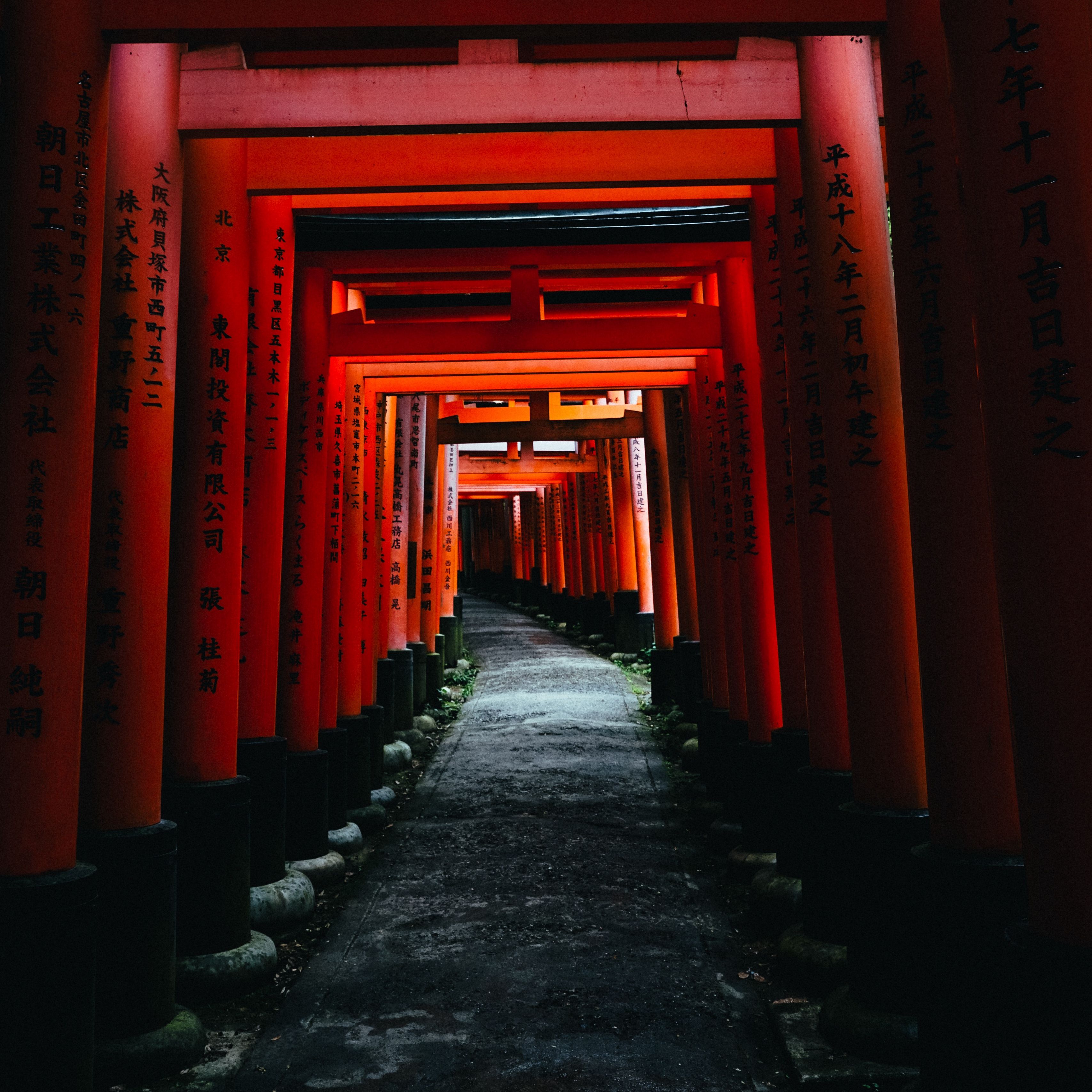 Sunset Art And Walking Under Torii Wallpapers