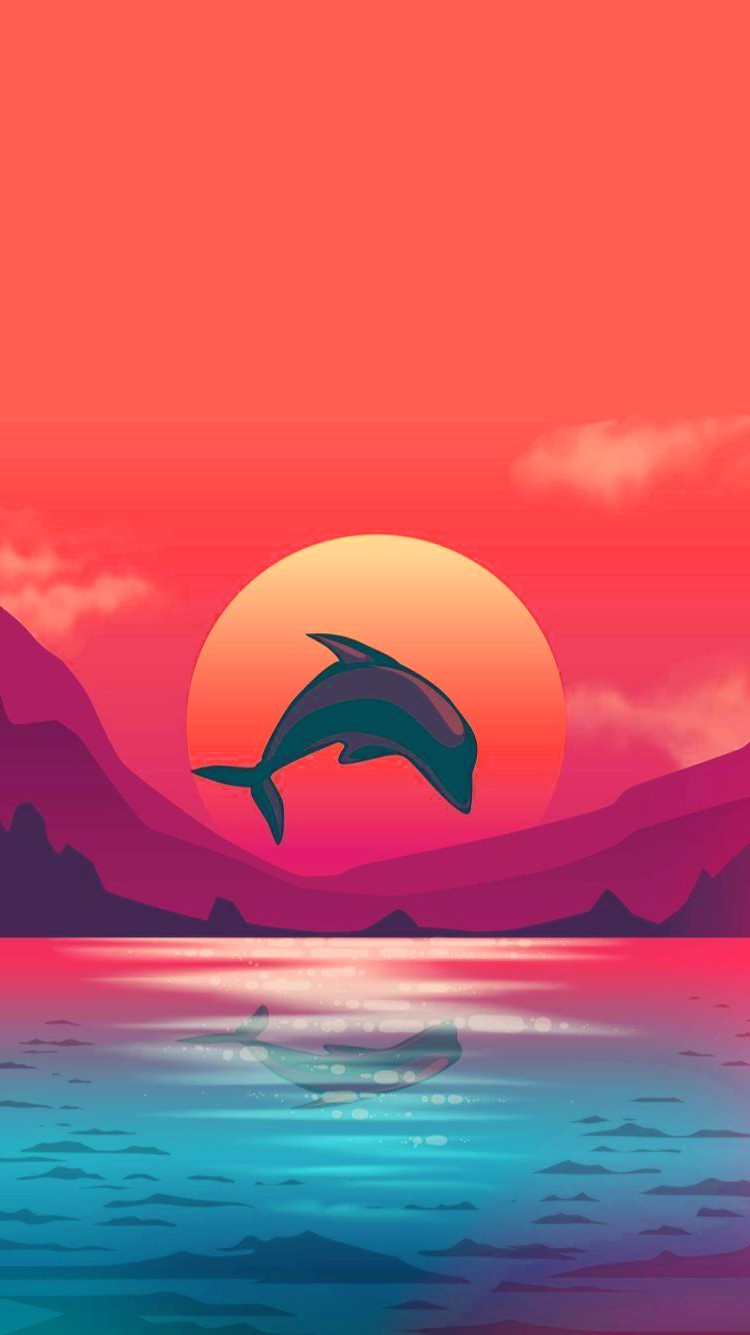 Sunset Dolphin Wallpapers