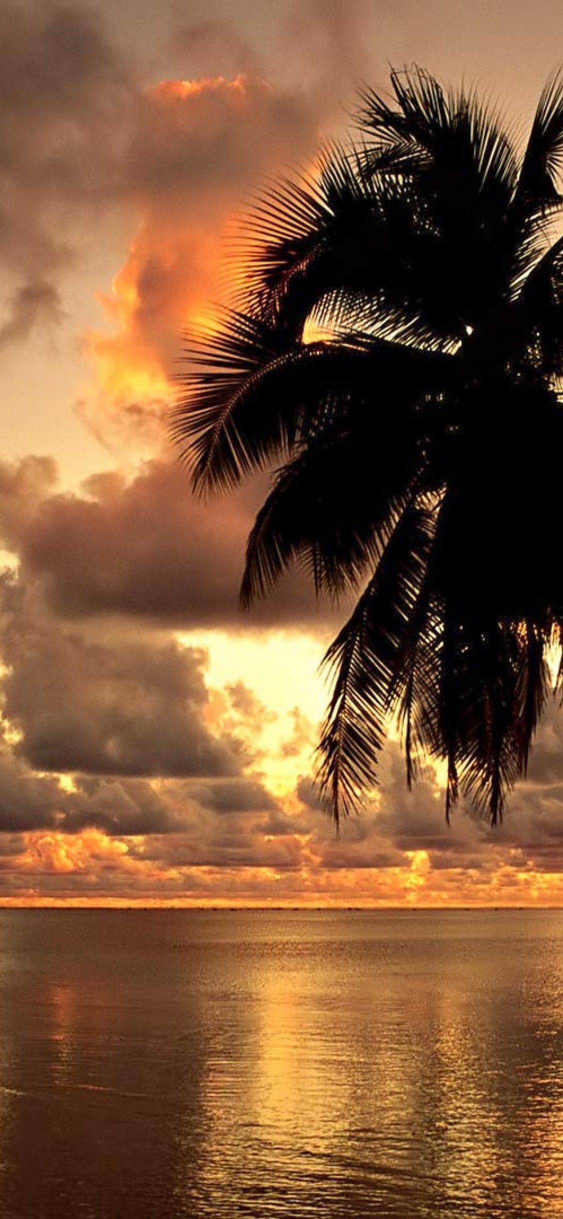 Sunset Hawaii Wallpapers