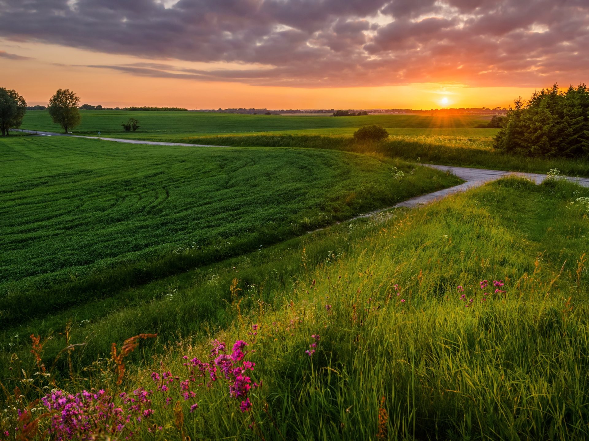 Sunset In Denmark Wallpapers