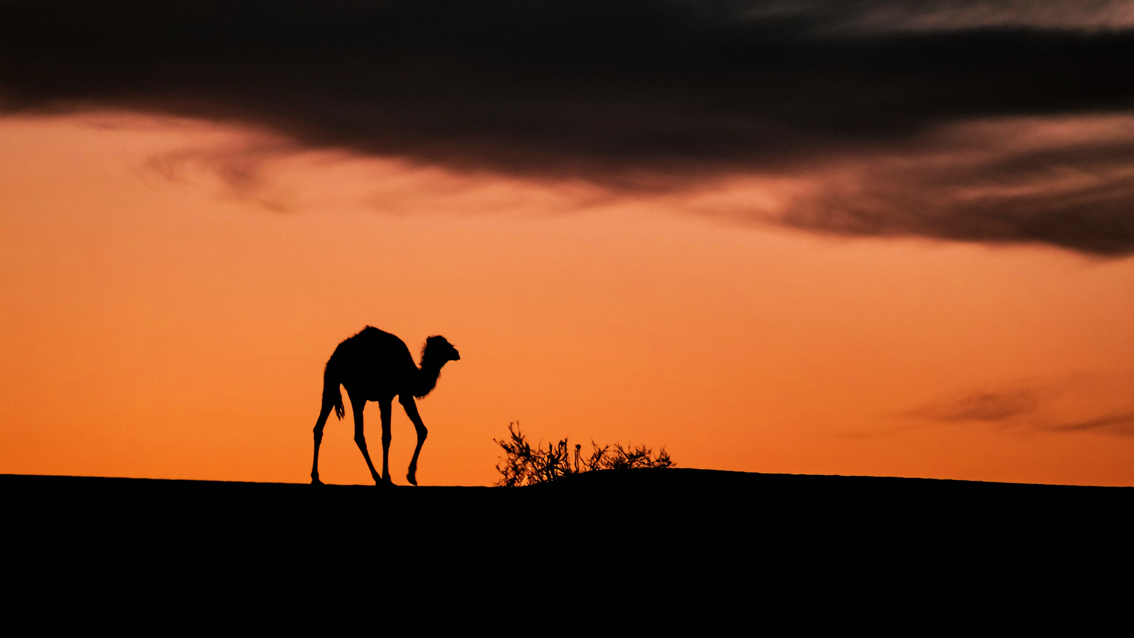 Sunset In Tassili Algeria Wallpapers