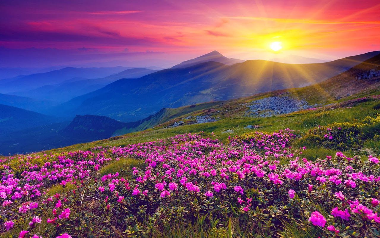 Sunset In Valley Wallpapers