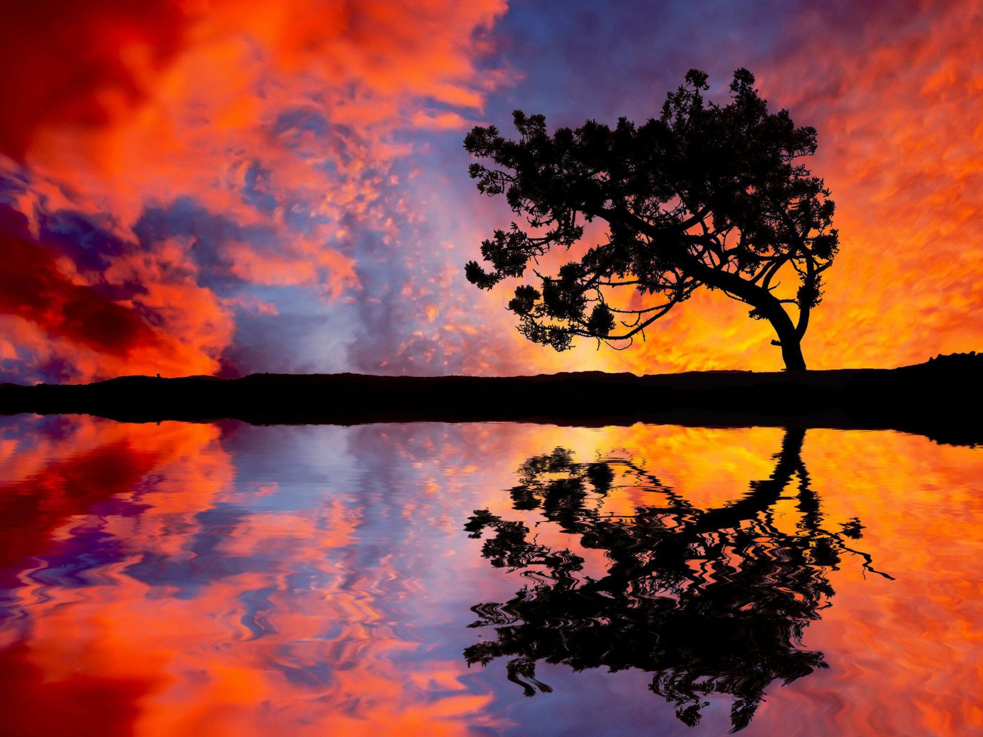 Sunset Nature Trees Wallpapers