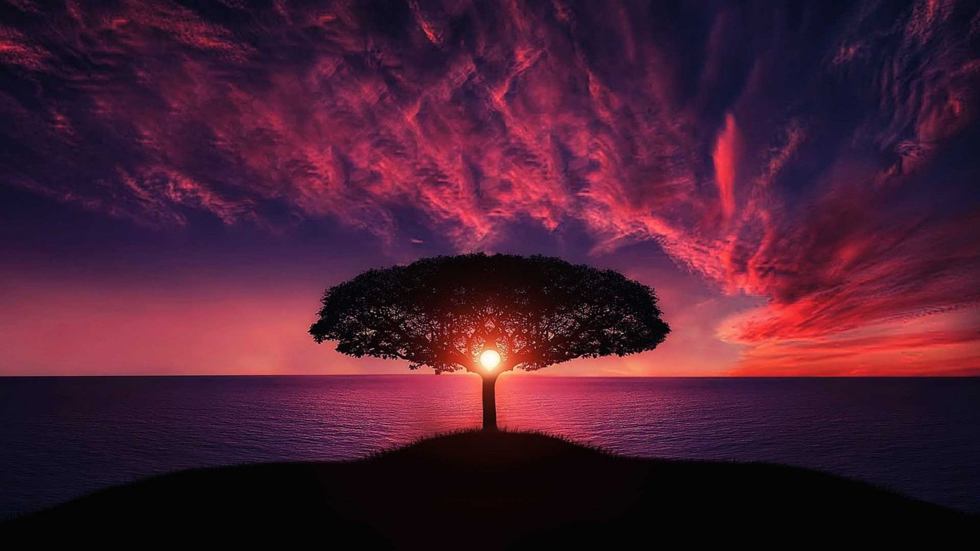 Sunset Nature Trees Wallpapers