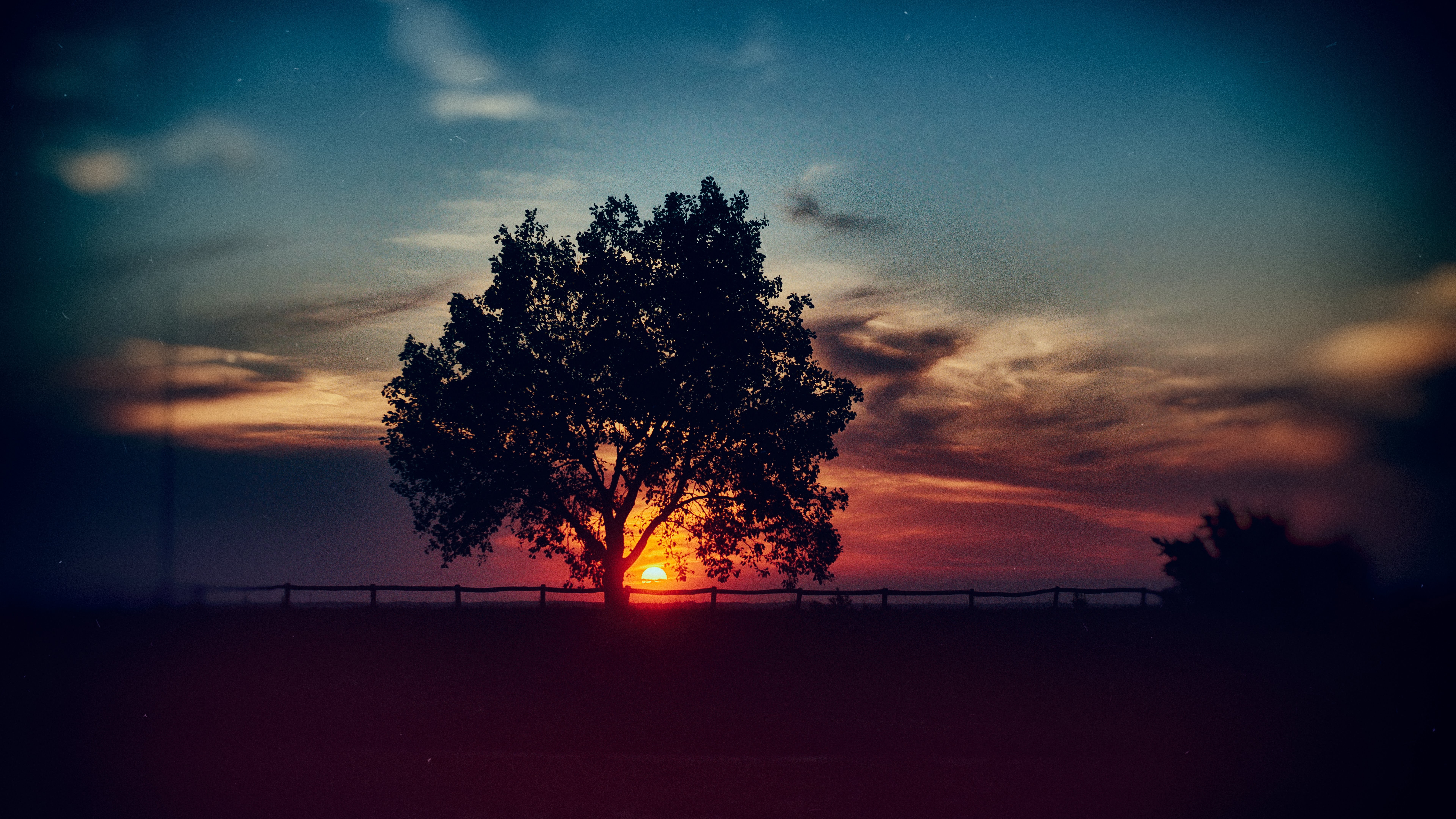 Sunset Nature Trees Wallpapers