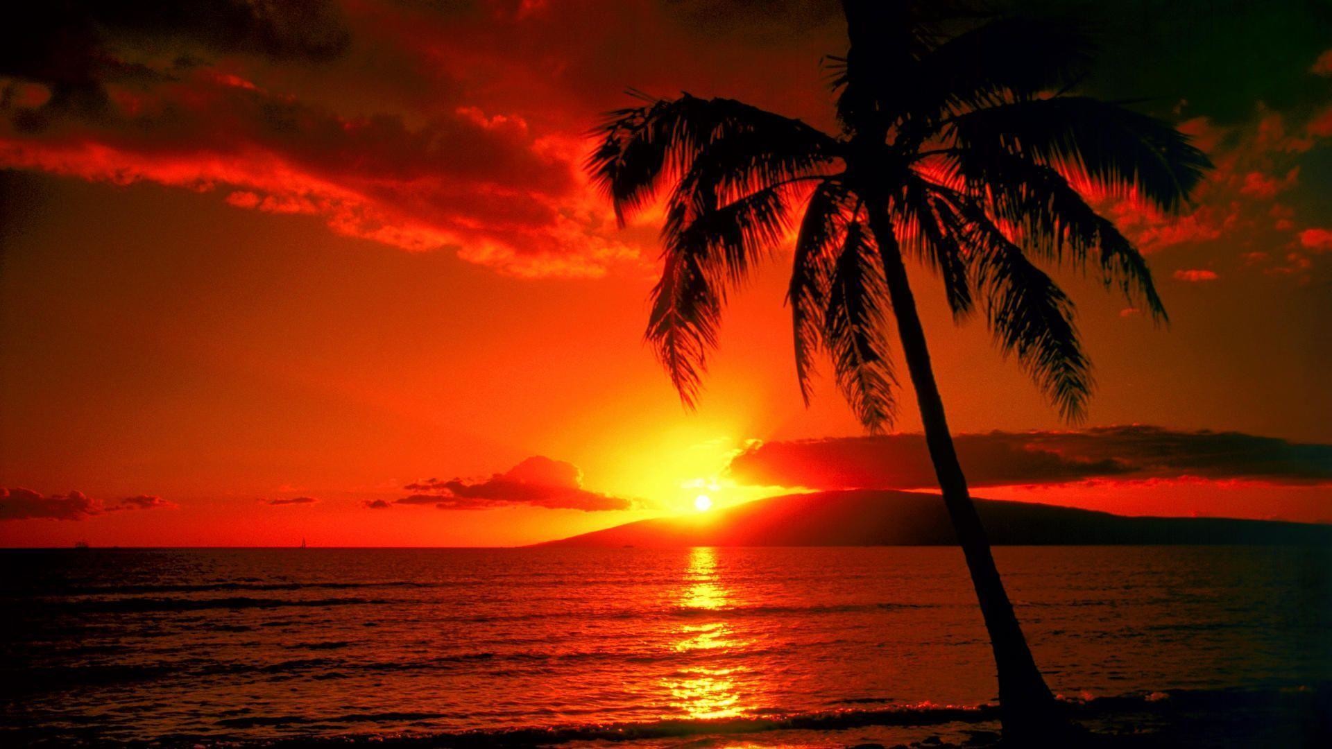 Sunset Ocean Hawaii Wallpapers