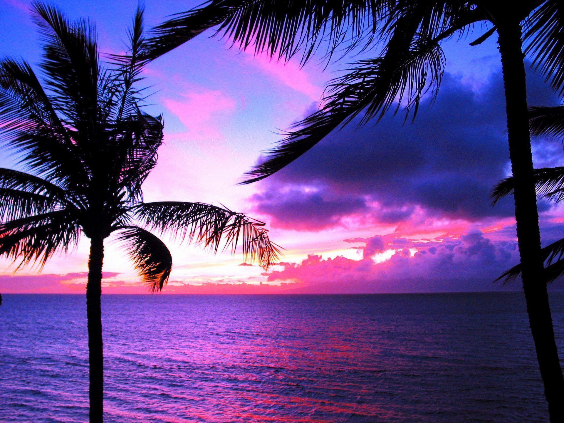 Sunset Ocean Hawaii Wallpapers