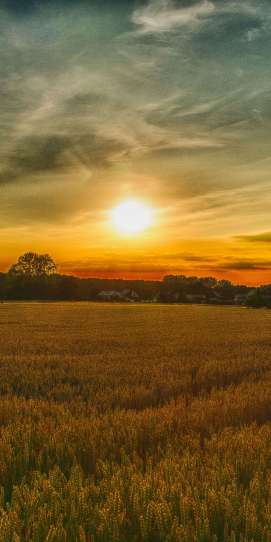 Sunset Over Field Wallpapers